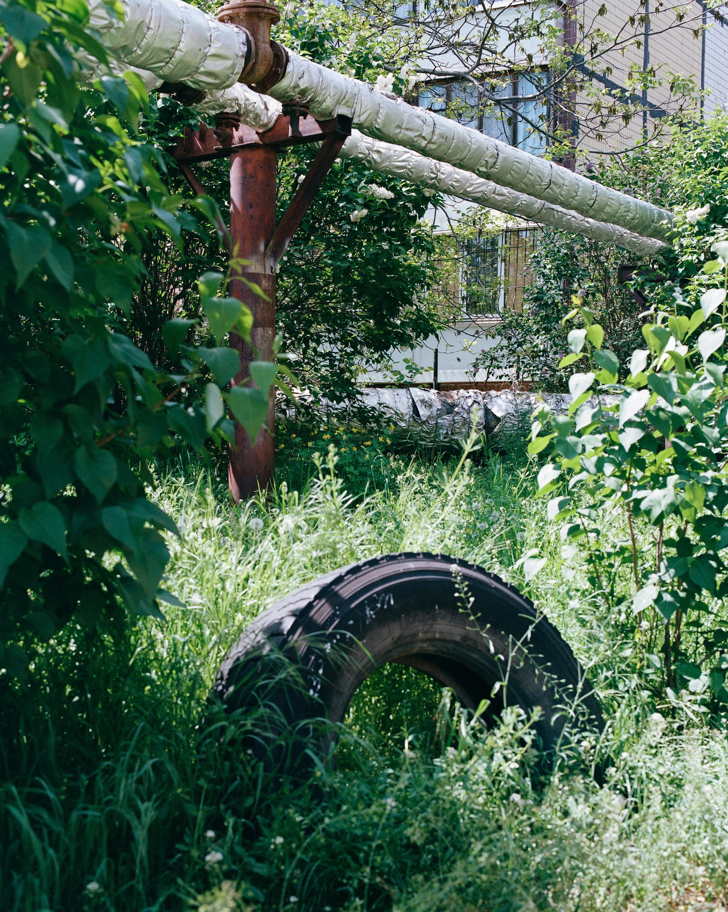 Udovenko-40.jpg