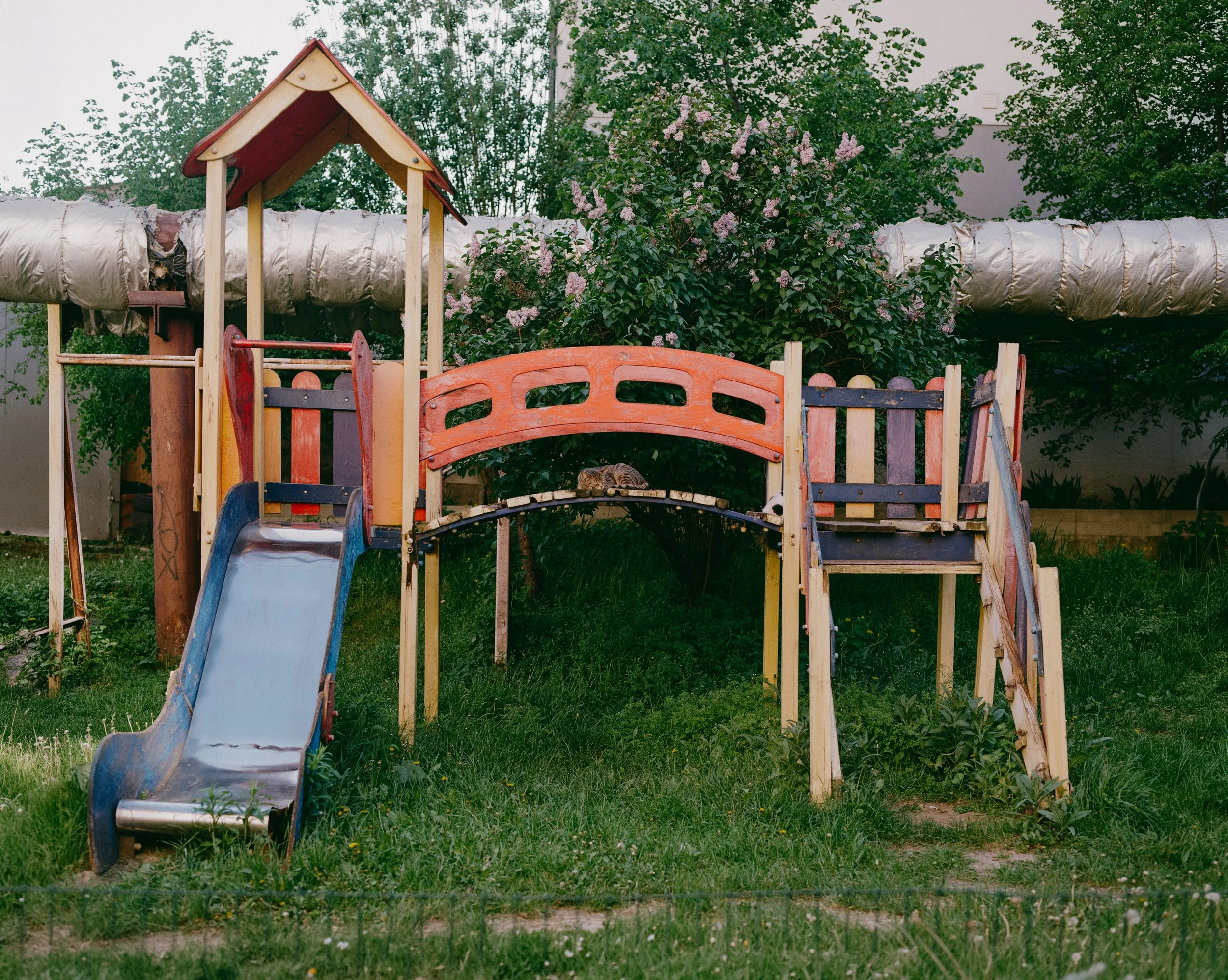 Udovenko-11.jpg