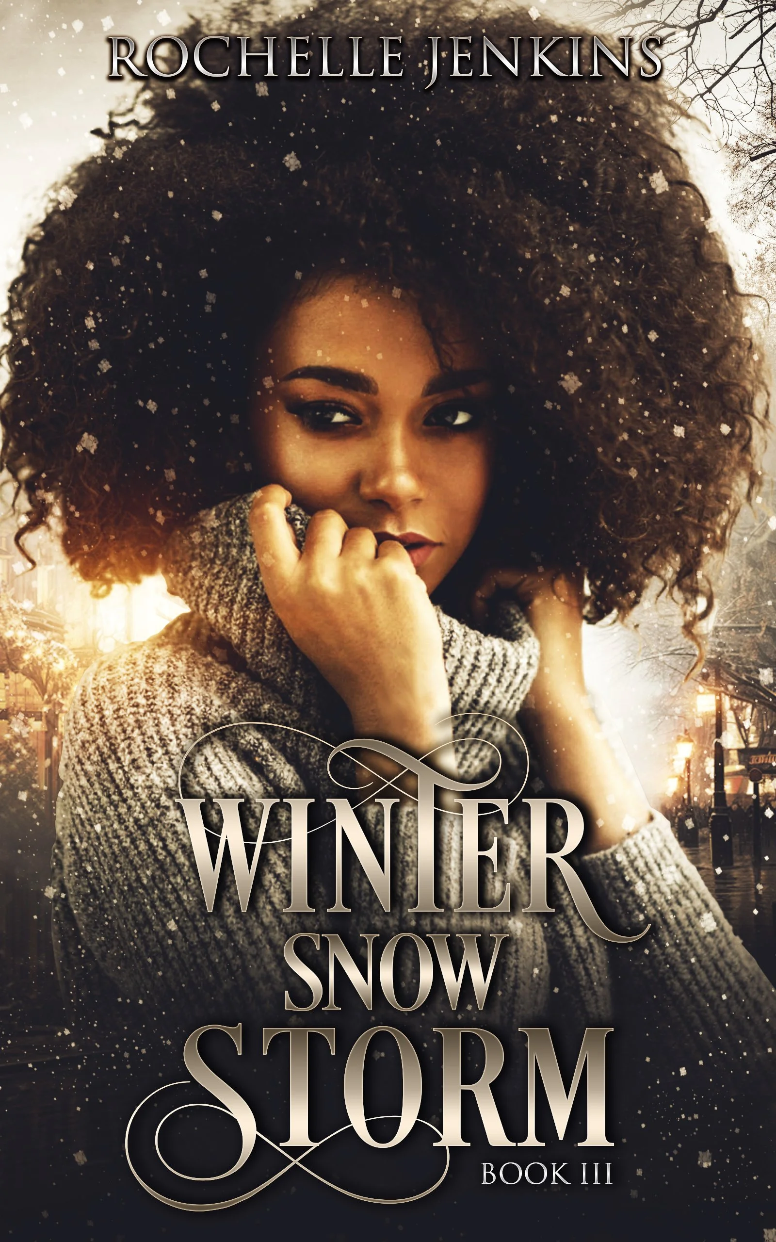 Winter Storm thrives in the spotlight as editor‑in‑chief of a leading Paris fashion magazine, but a chance encounter on a transatlantic flight changes everything. As she faces family upheaval, buried secrets, and unexpected love, her journey becomes 