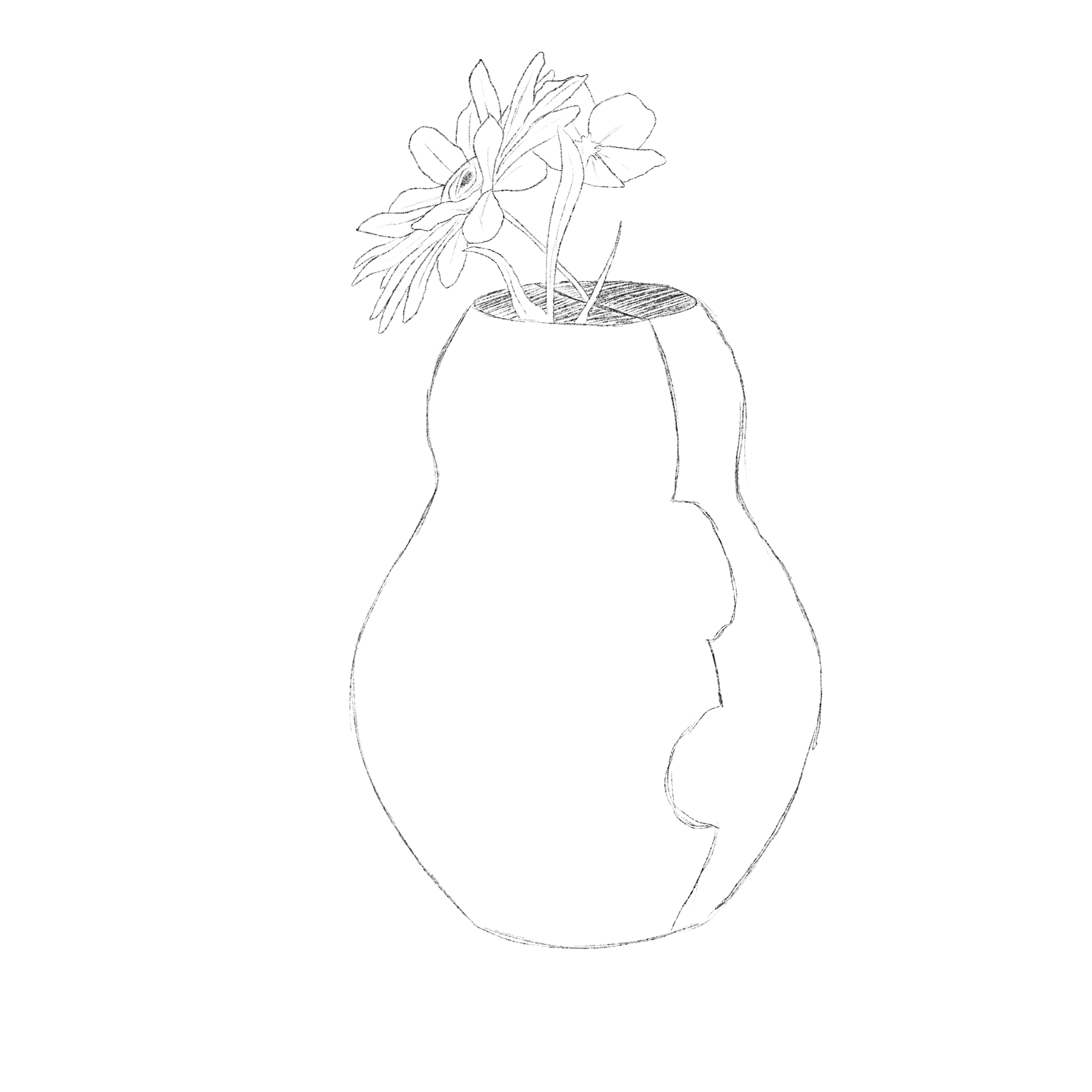 IMG_0119.PNG