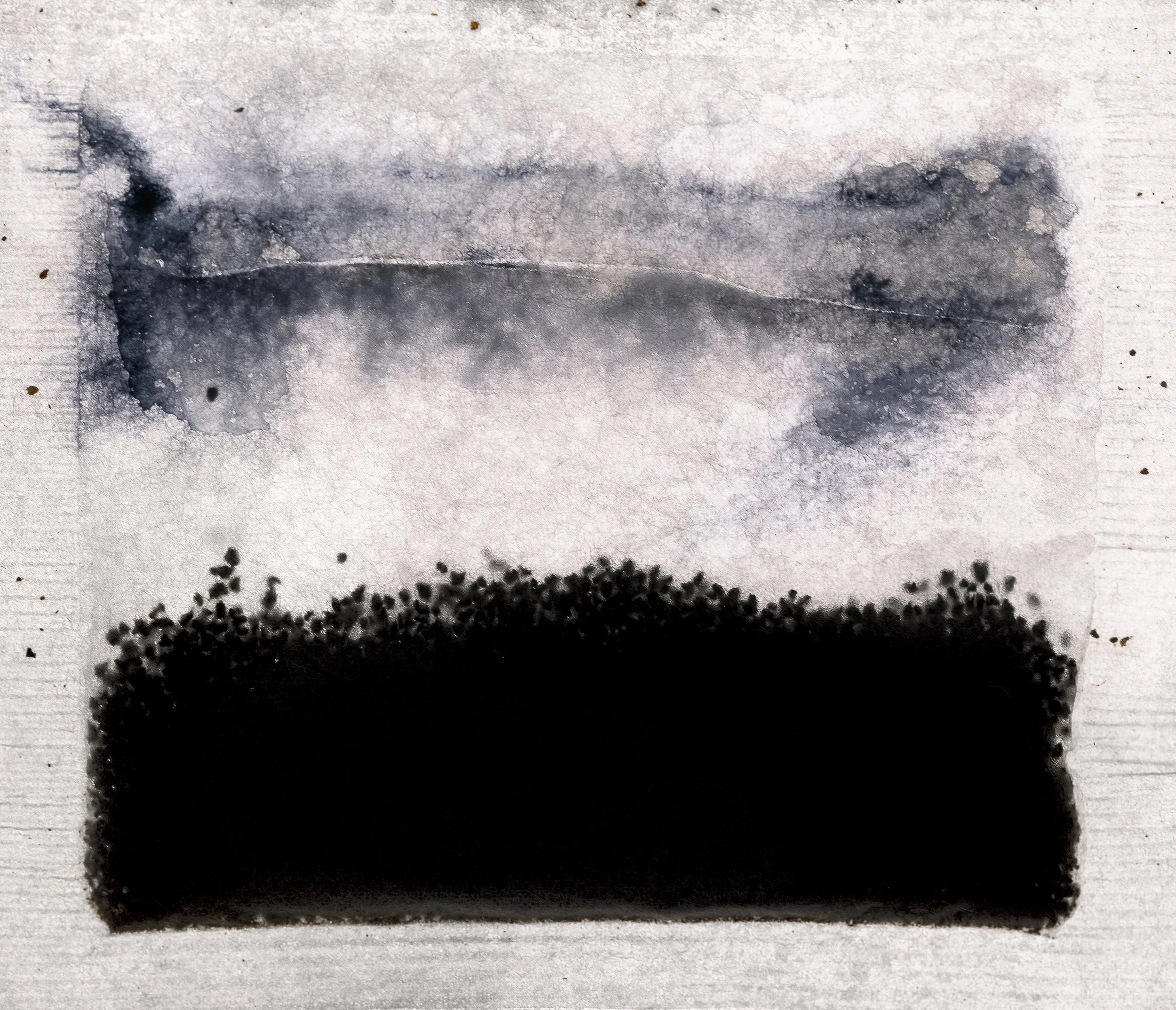 Camellia sinensis var. sinensis II, 2023 // Sea of Troubles series