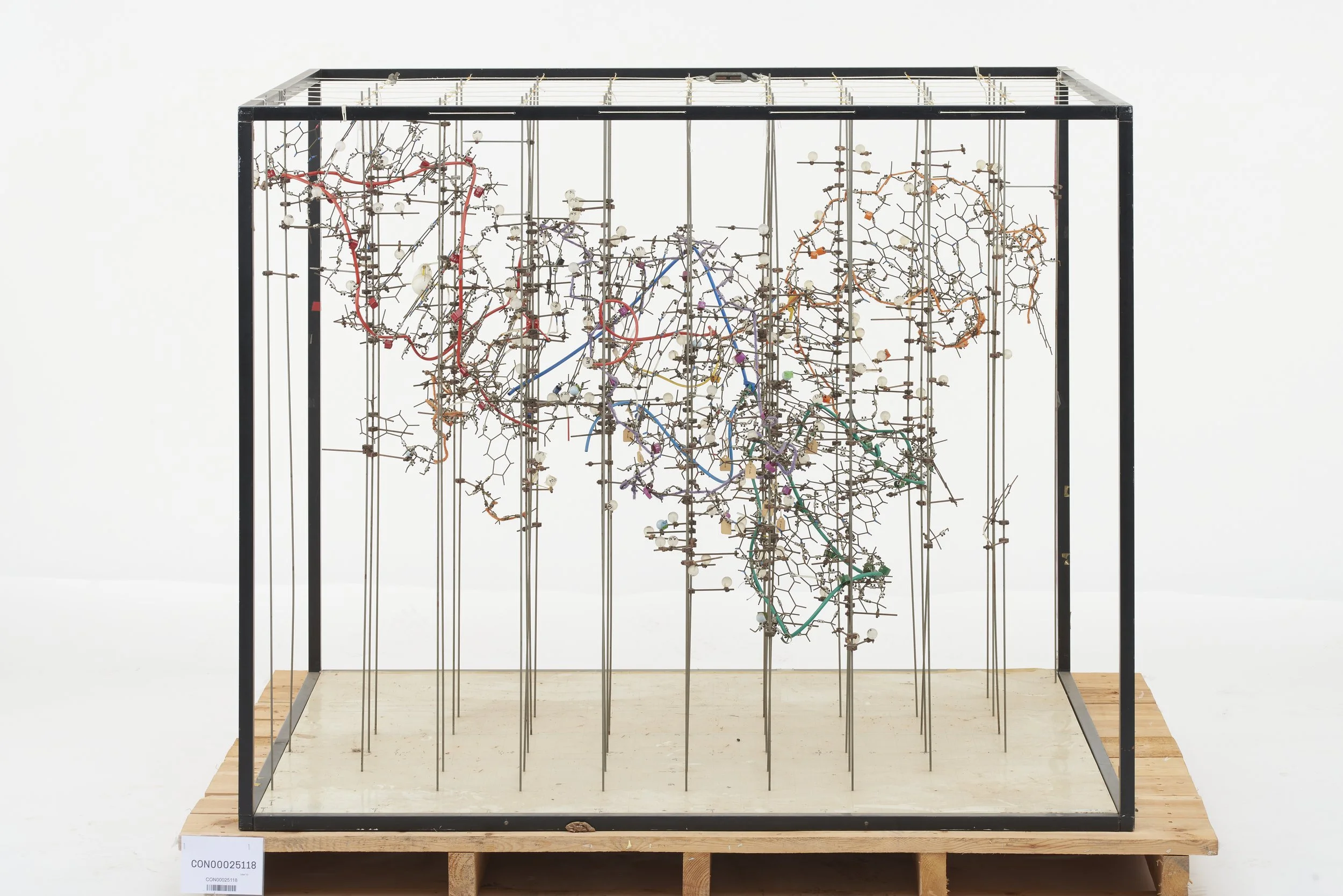 1988-46/1
	
Model of t-RNA made at the Laboratory of Molecular Biology, Cambridge.