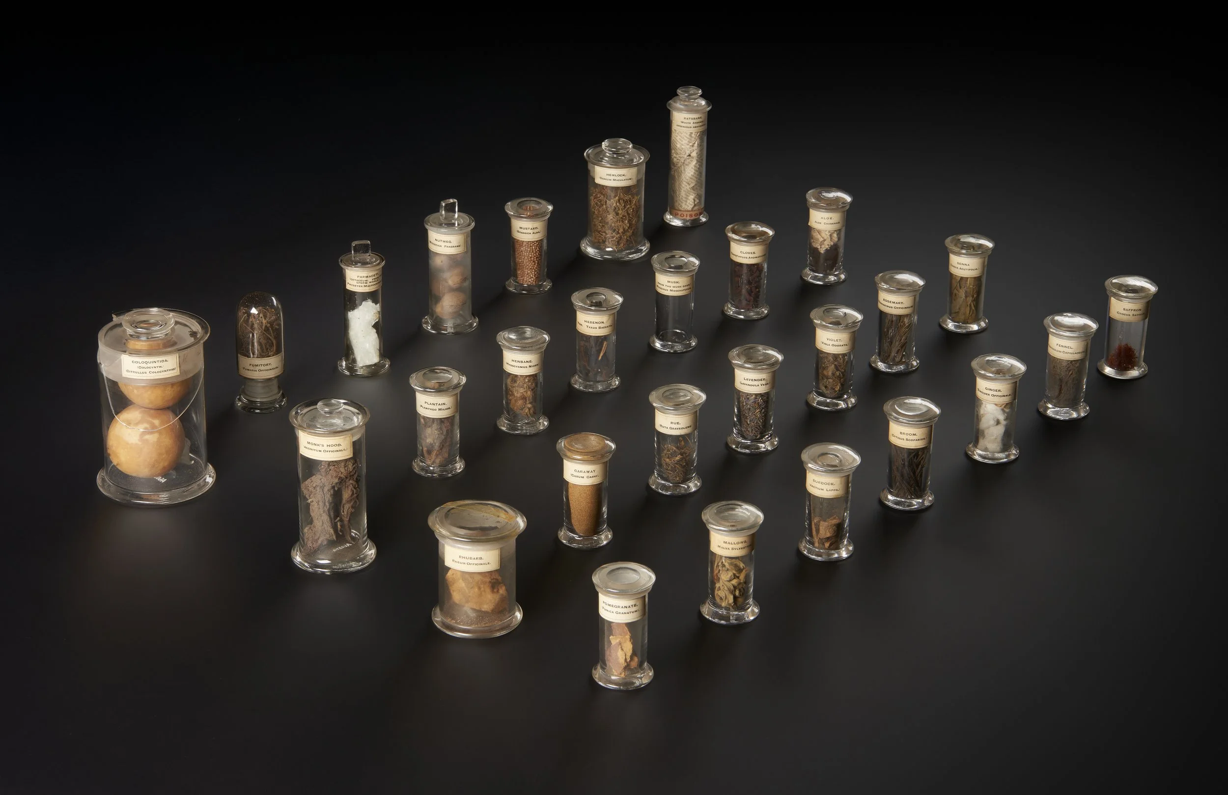 A603712 

Collection of 28 herbs and drugs mentioned by William Shakespeare in his plays