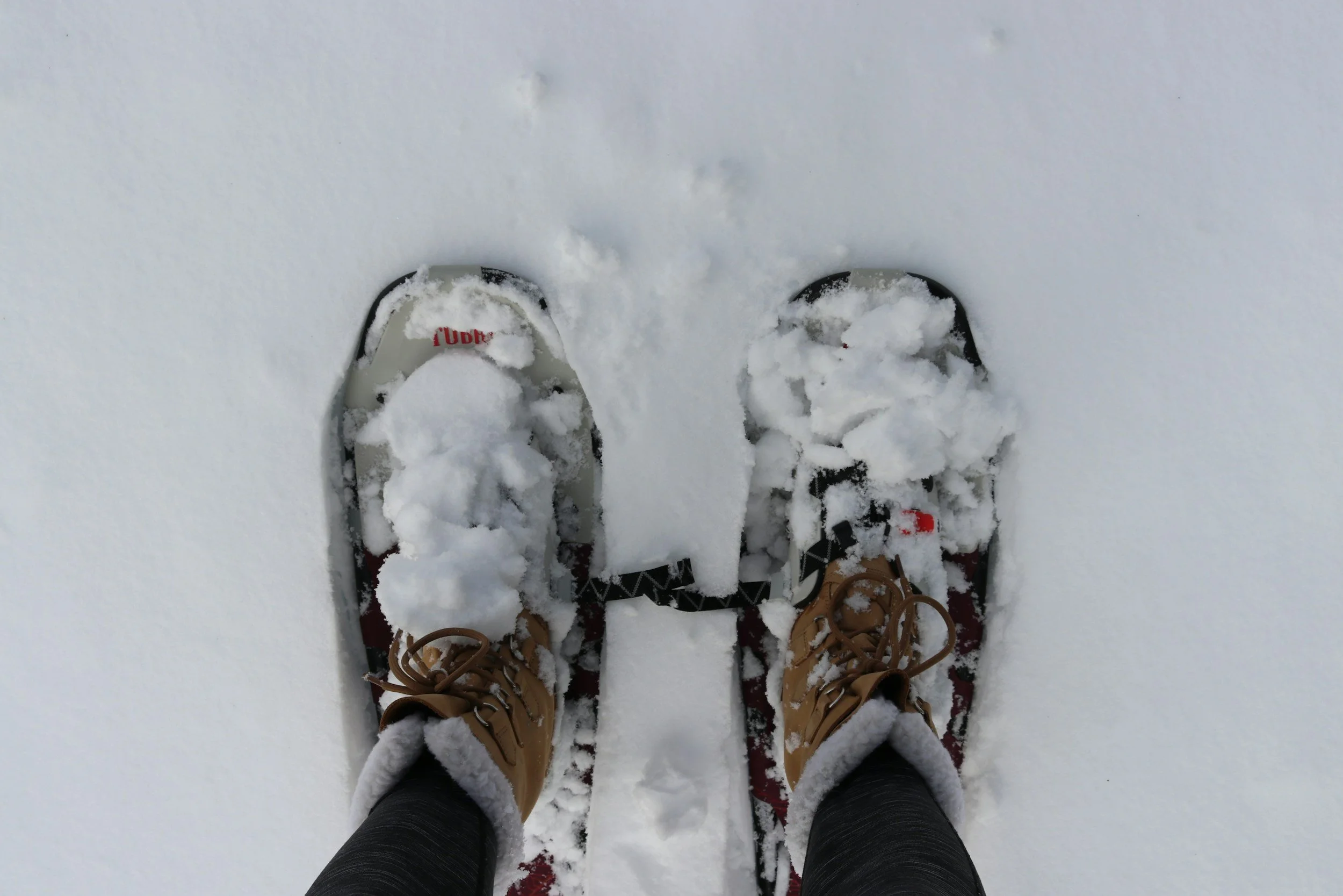 Person wearing winter boots and snowshoes standing in deep snow, illustrating cold feet and sensitivity to cold during winter