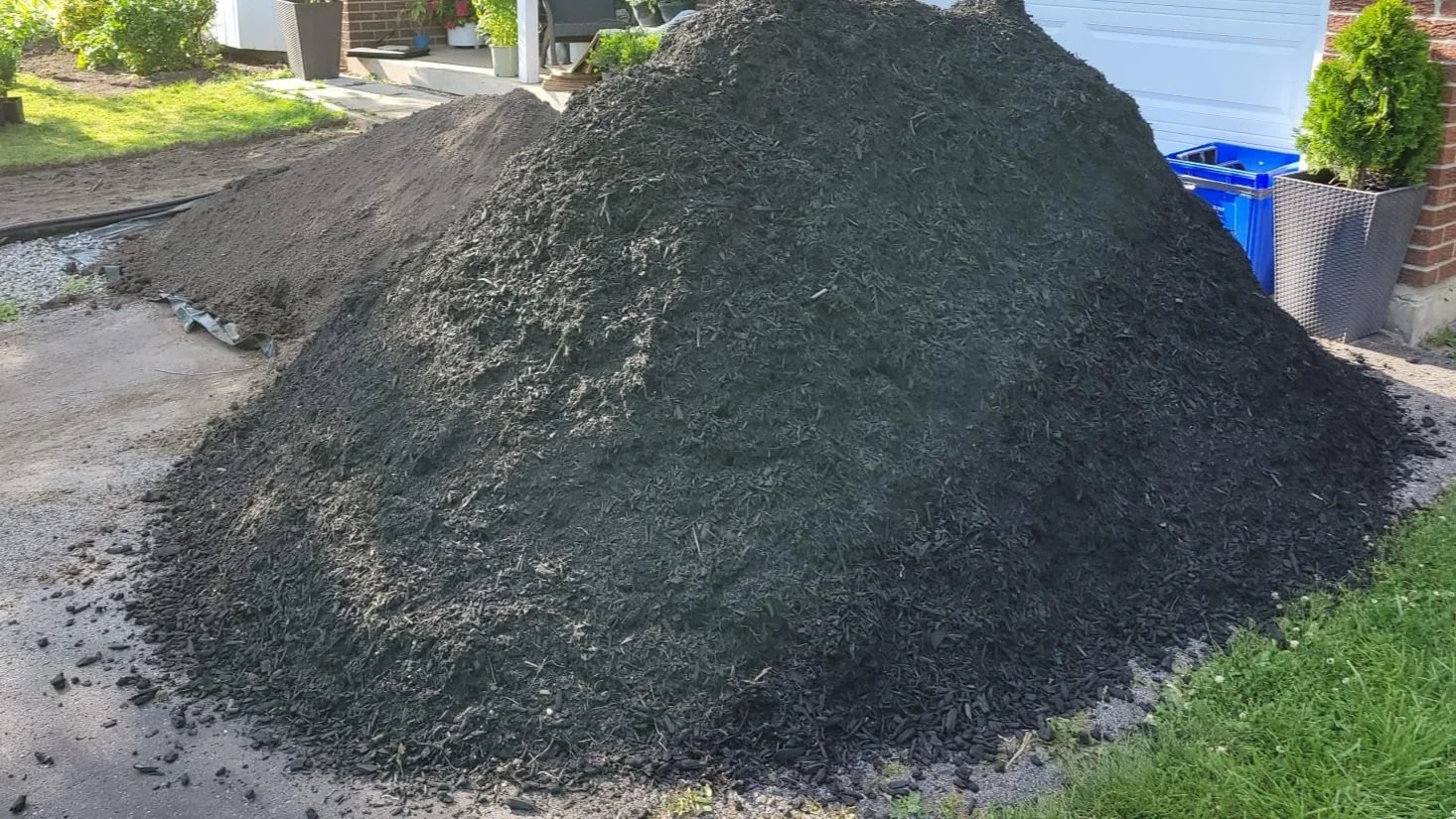 WhatsApp Image 2024-06-14 at 6.22.01 PM.jpg