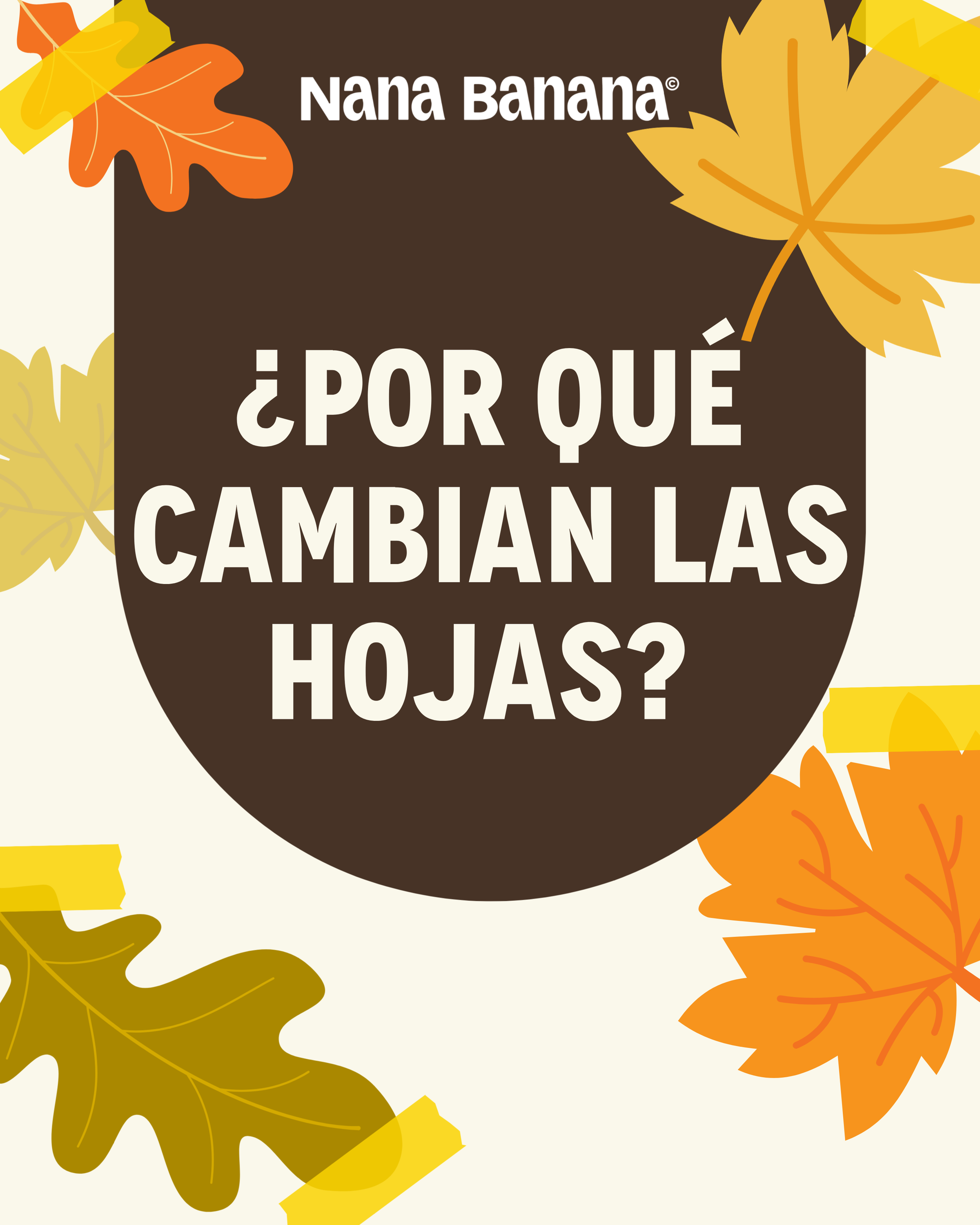 ¿Por qué las hojas cambian? Una oportunidad para hablar de los cambios 🍂