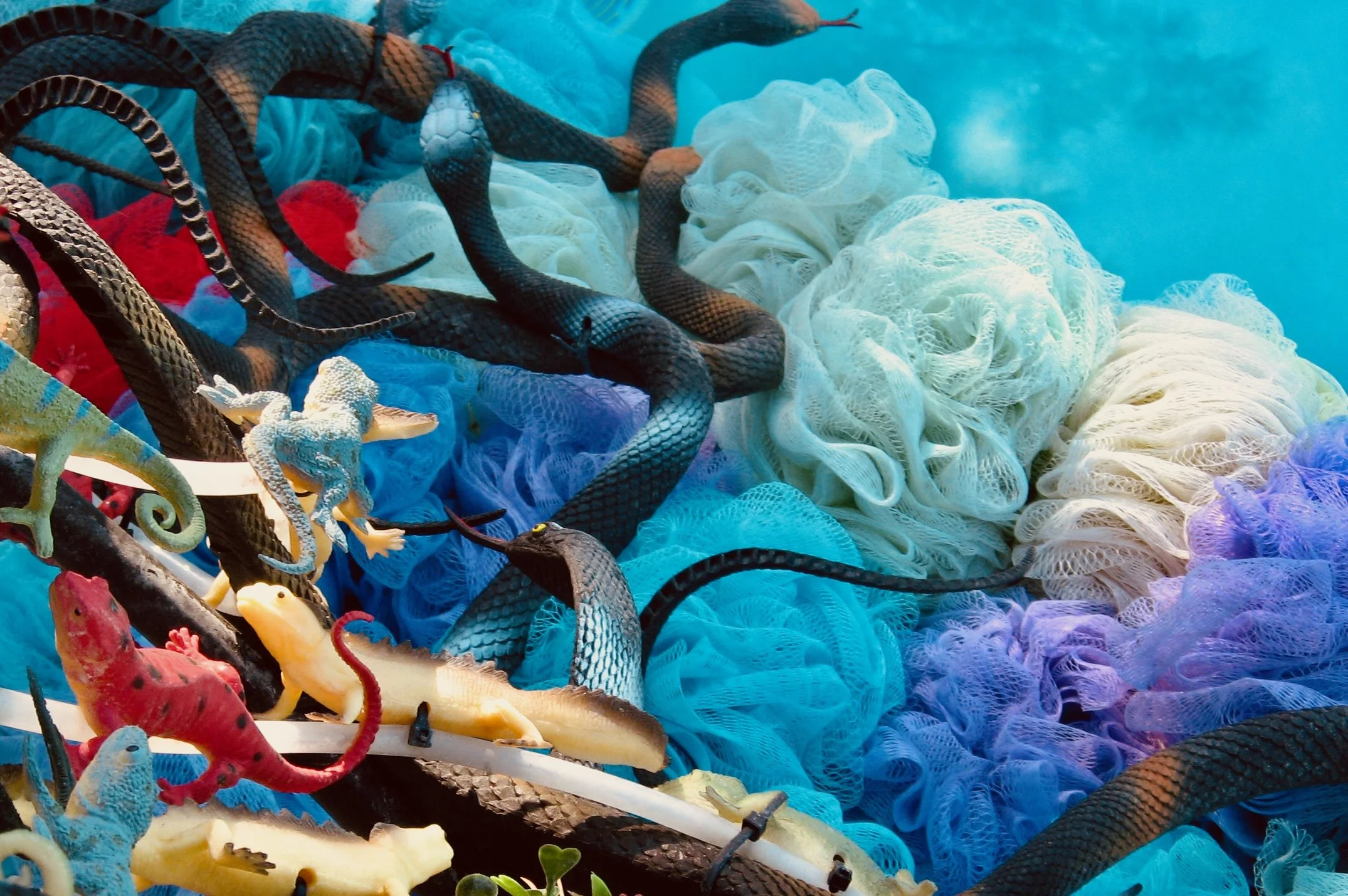 Recreational Genetics 04, 2008