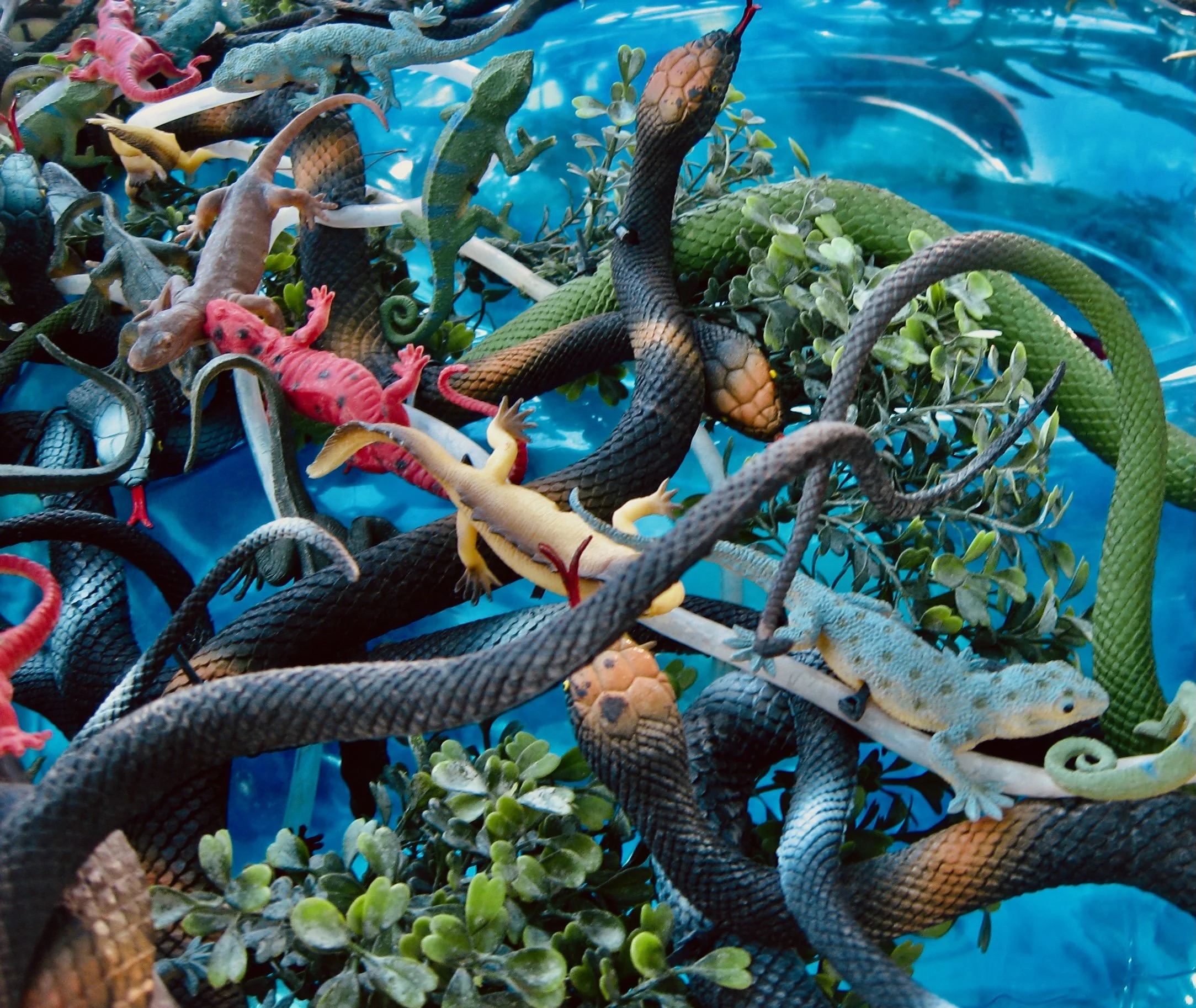 Recreational Genetics 03, 2008