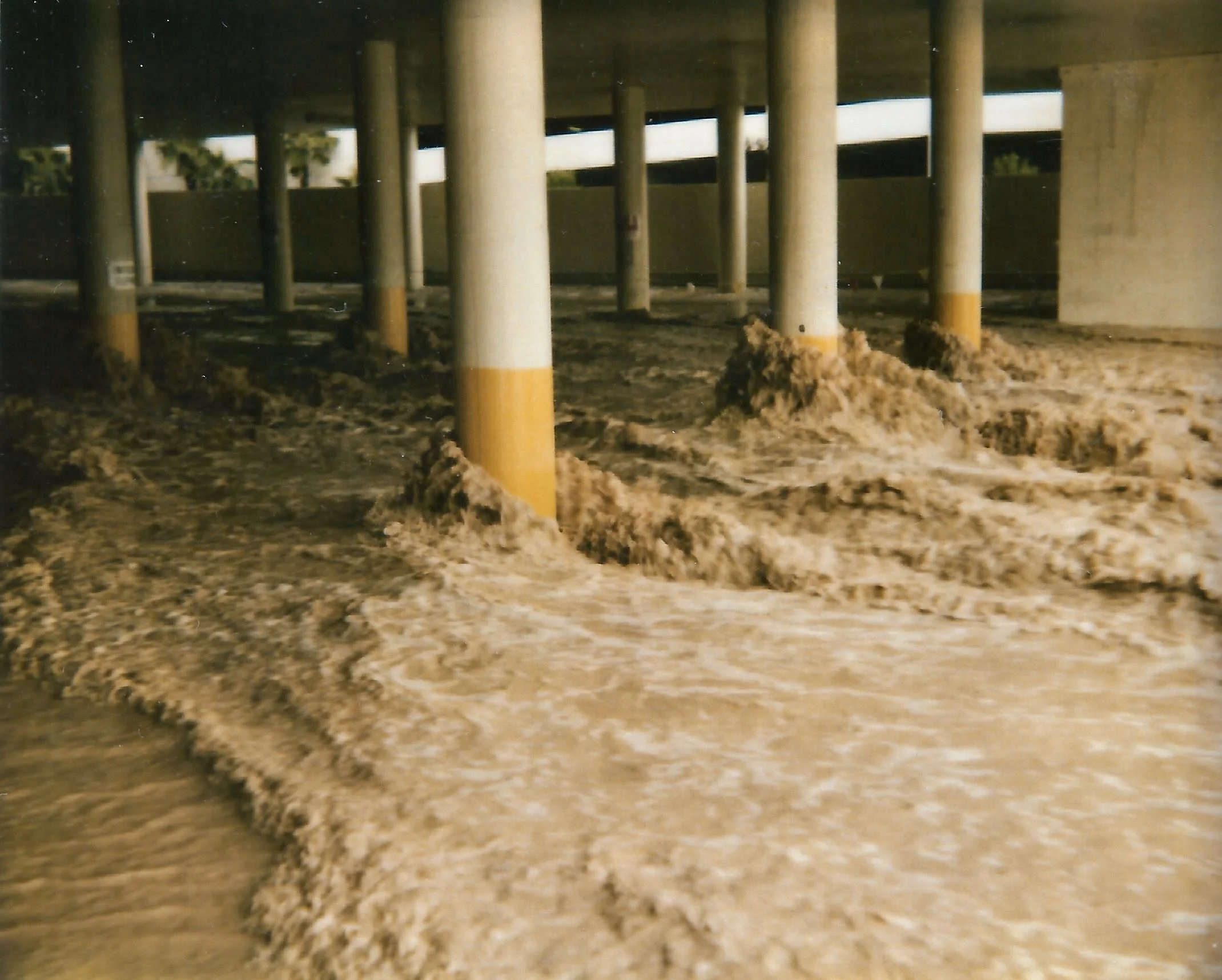 The Flamingo Wash in flood stage