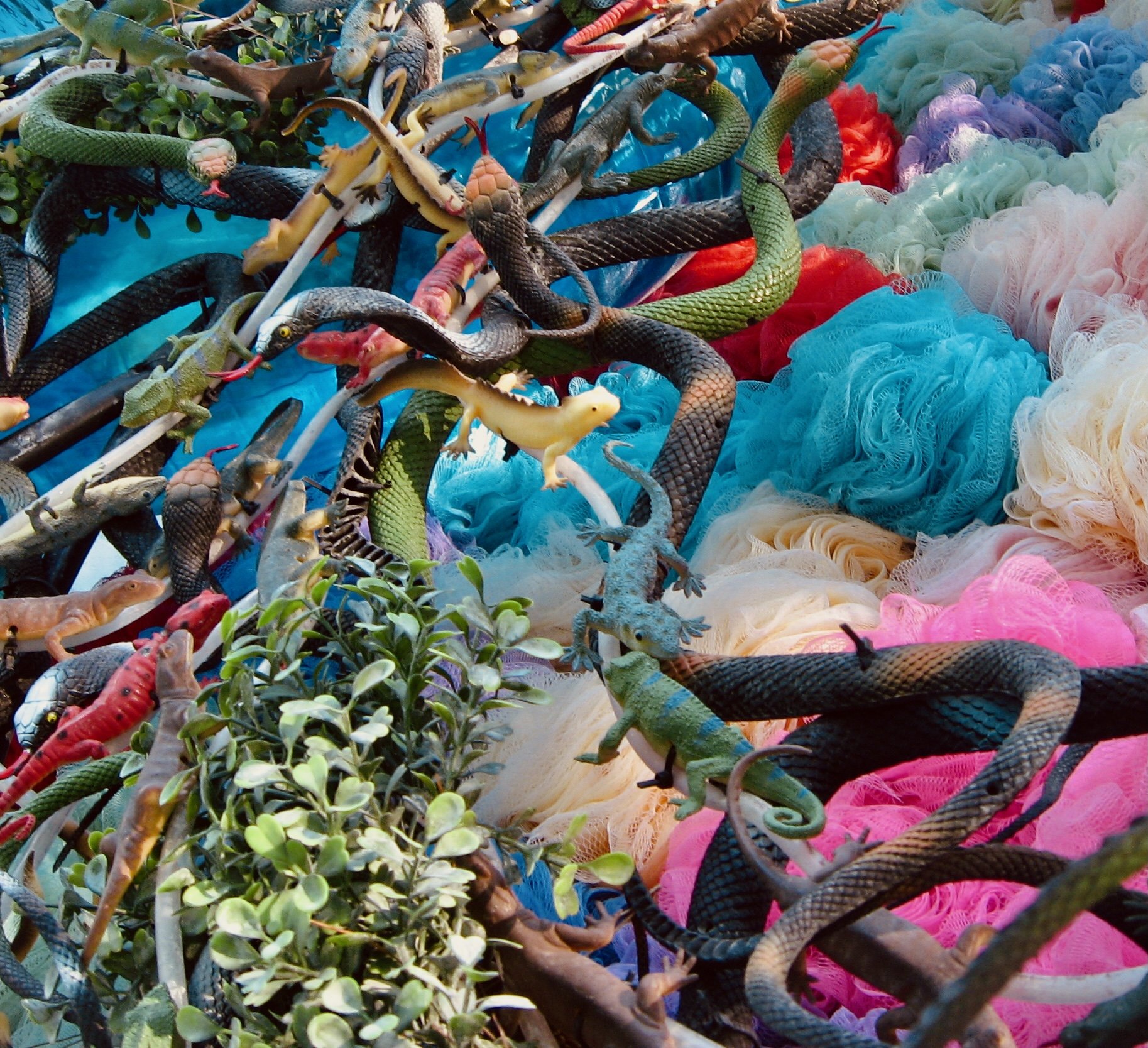 Recreational Genetics 02, 2008