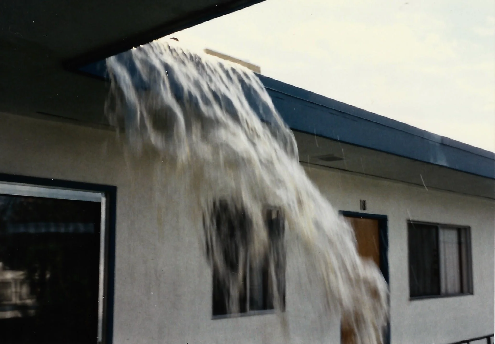 Bondi-flamingo-wash-med - 24.jpeg