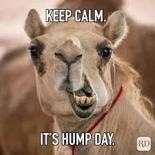 Half Price Hump Day at Helping Hands!