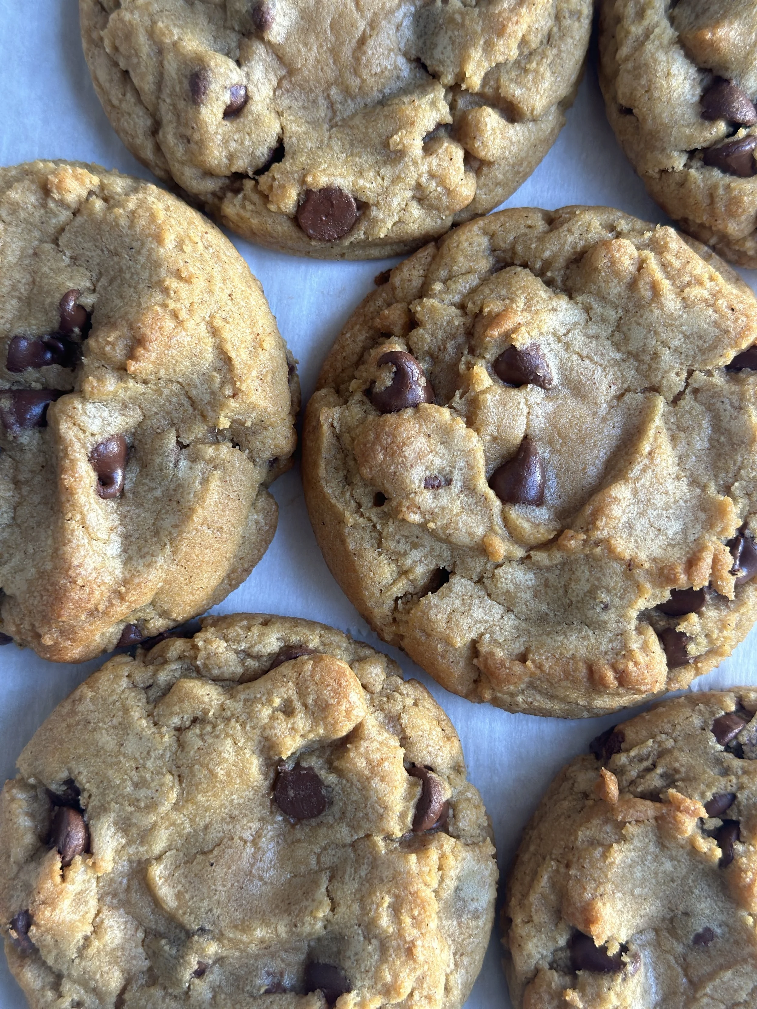 Recipe: Pumpkin Chocolate Chip