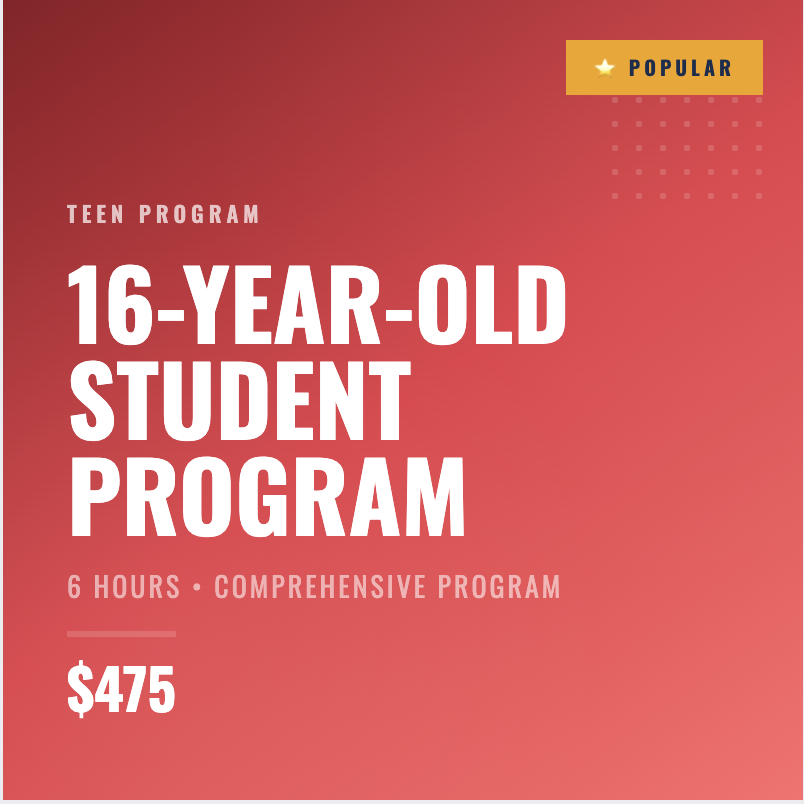 16-year-old-student-program6hours.png