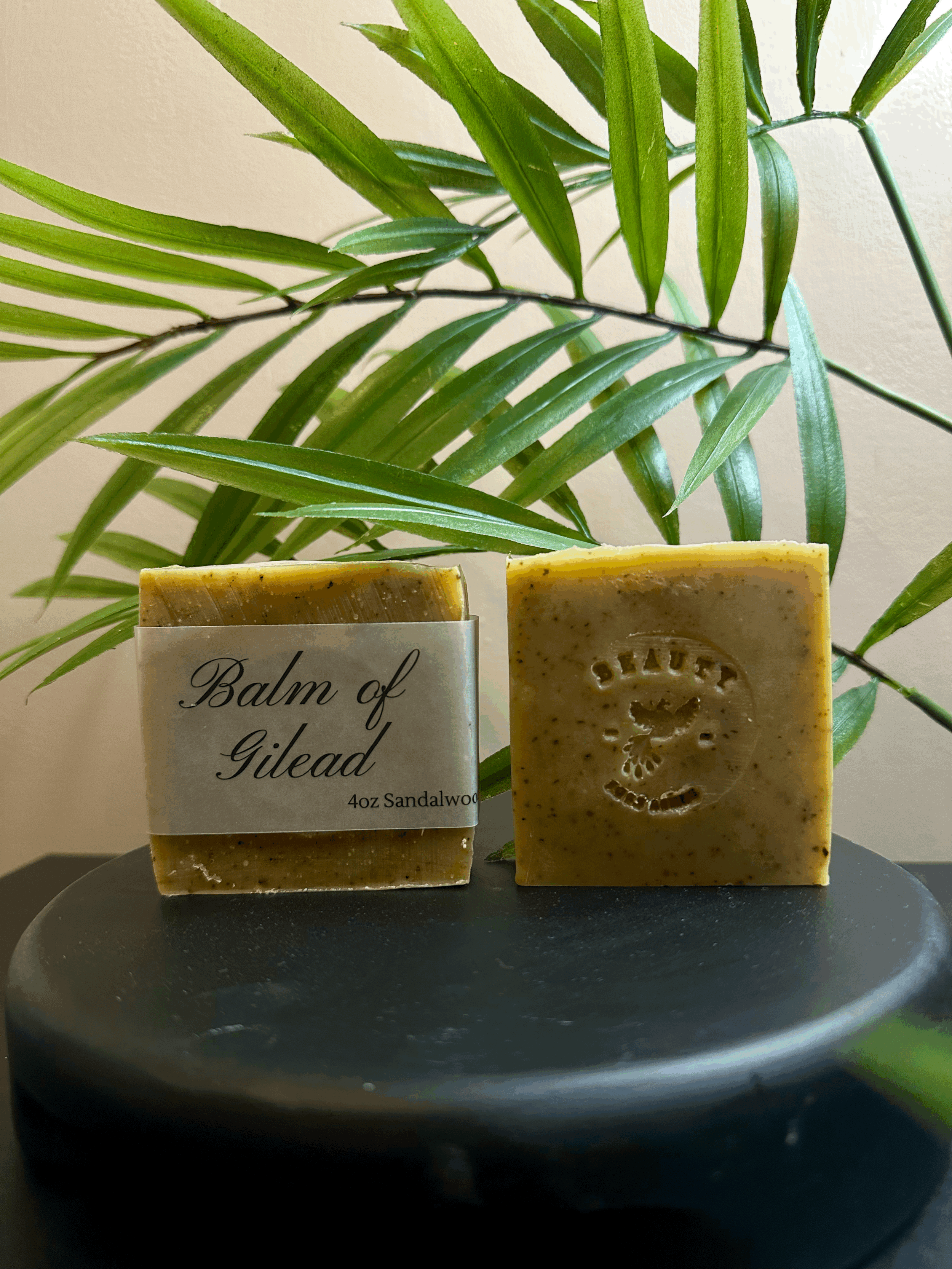 Balm of Gilead 4oz Sandalwood