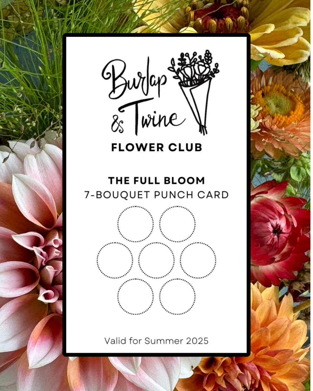 The Full Bloom.png