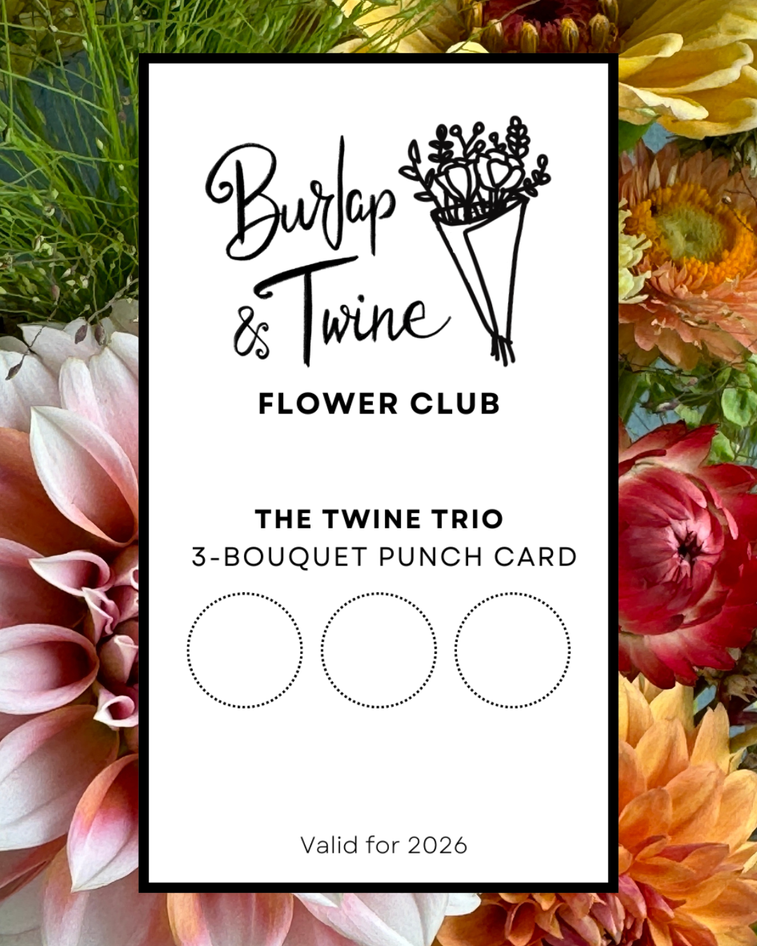 🌼 Flower Club: The Twine Trio