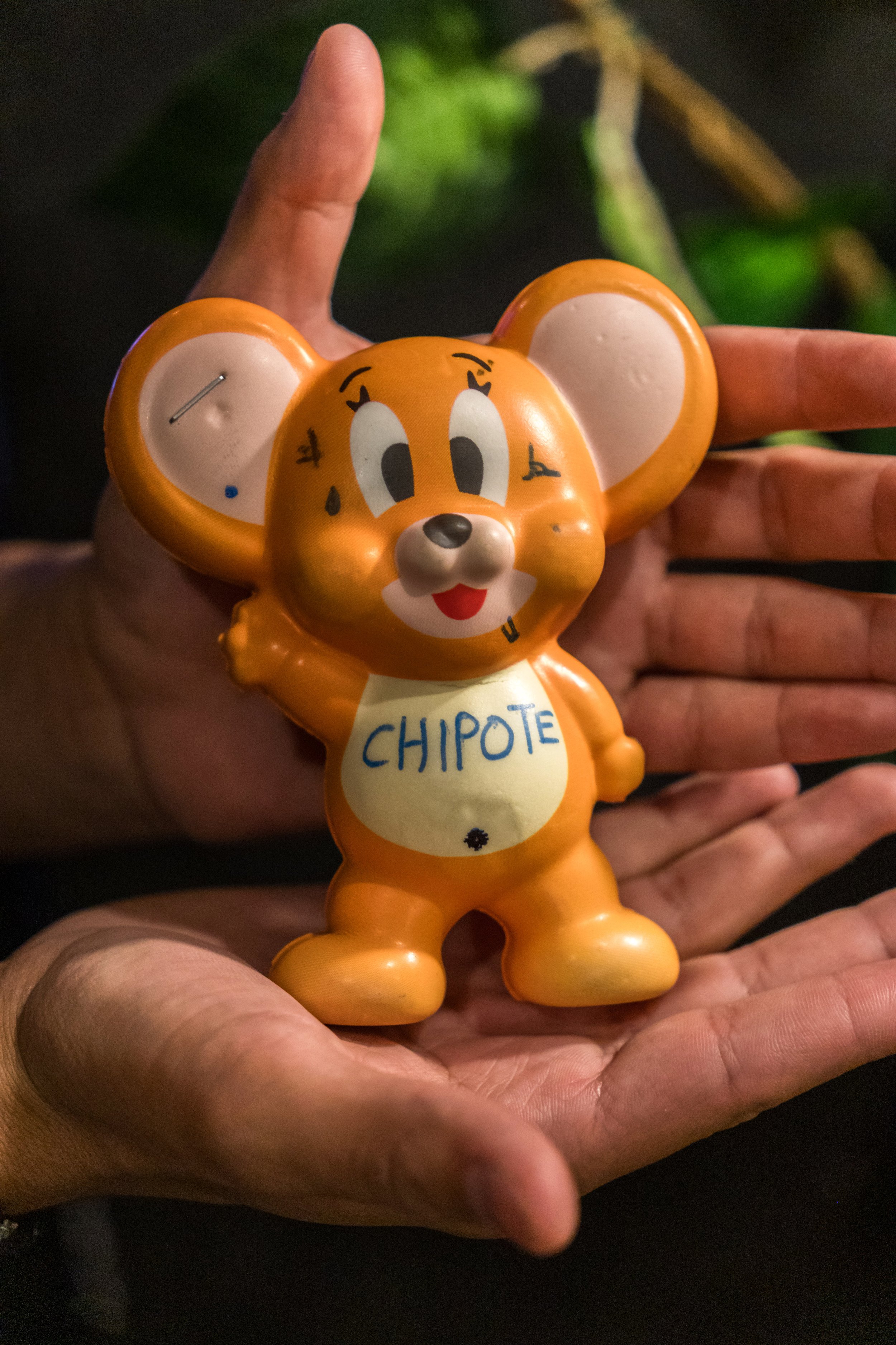 mascot_chipote.jpg