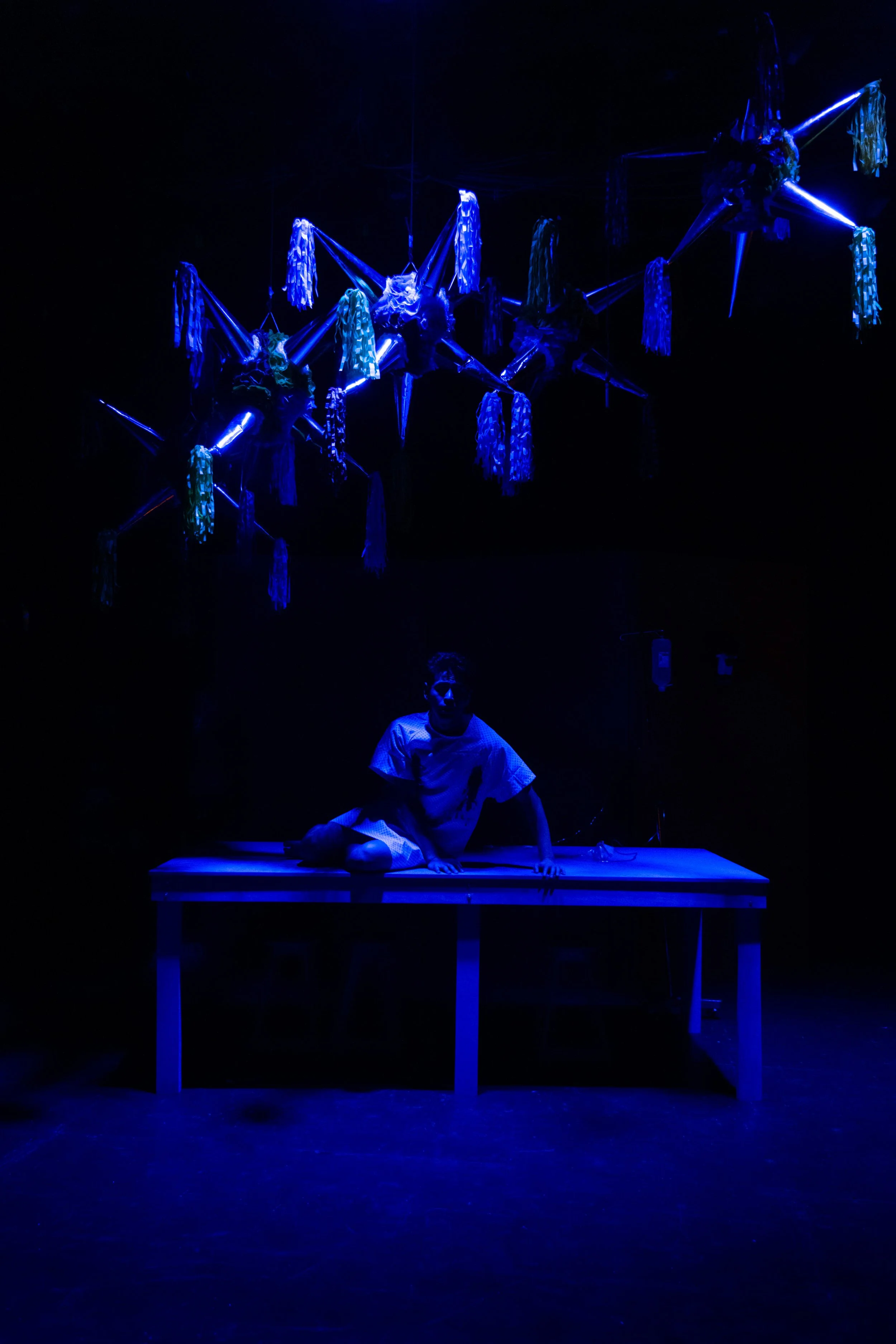 Chim blue on table.jpg