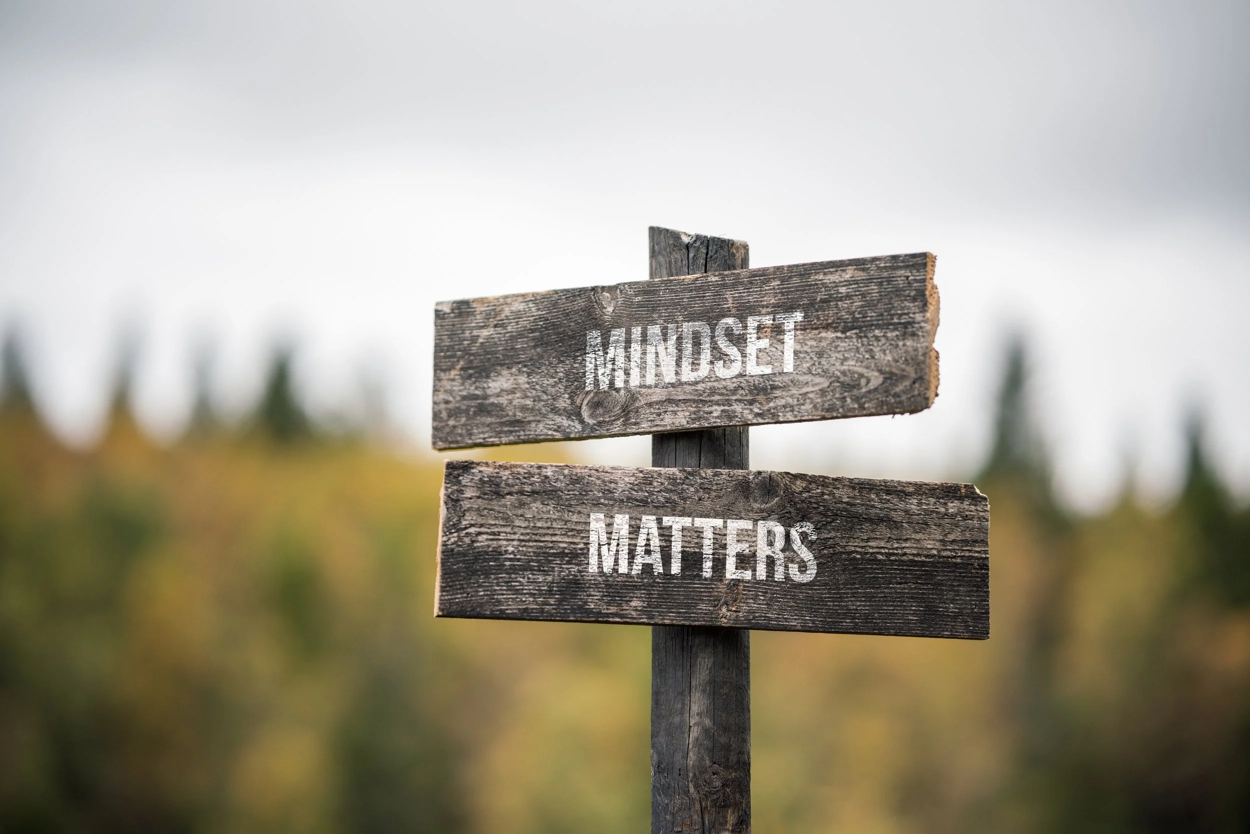 Et skilt med teksten "MINDSET MATTERS" på en værslitt trestang, med en bakgrunn av utendørs natur og trær.