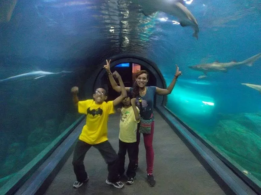 Aquariums...
