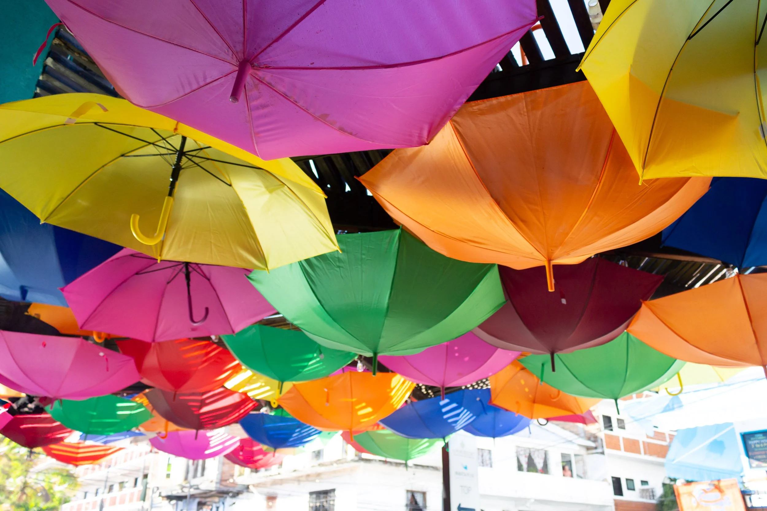 Colorful umbrellas hanging upside down above a street.