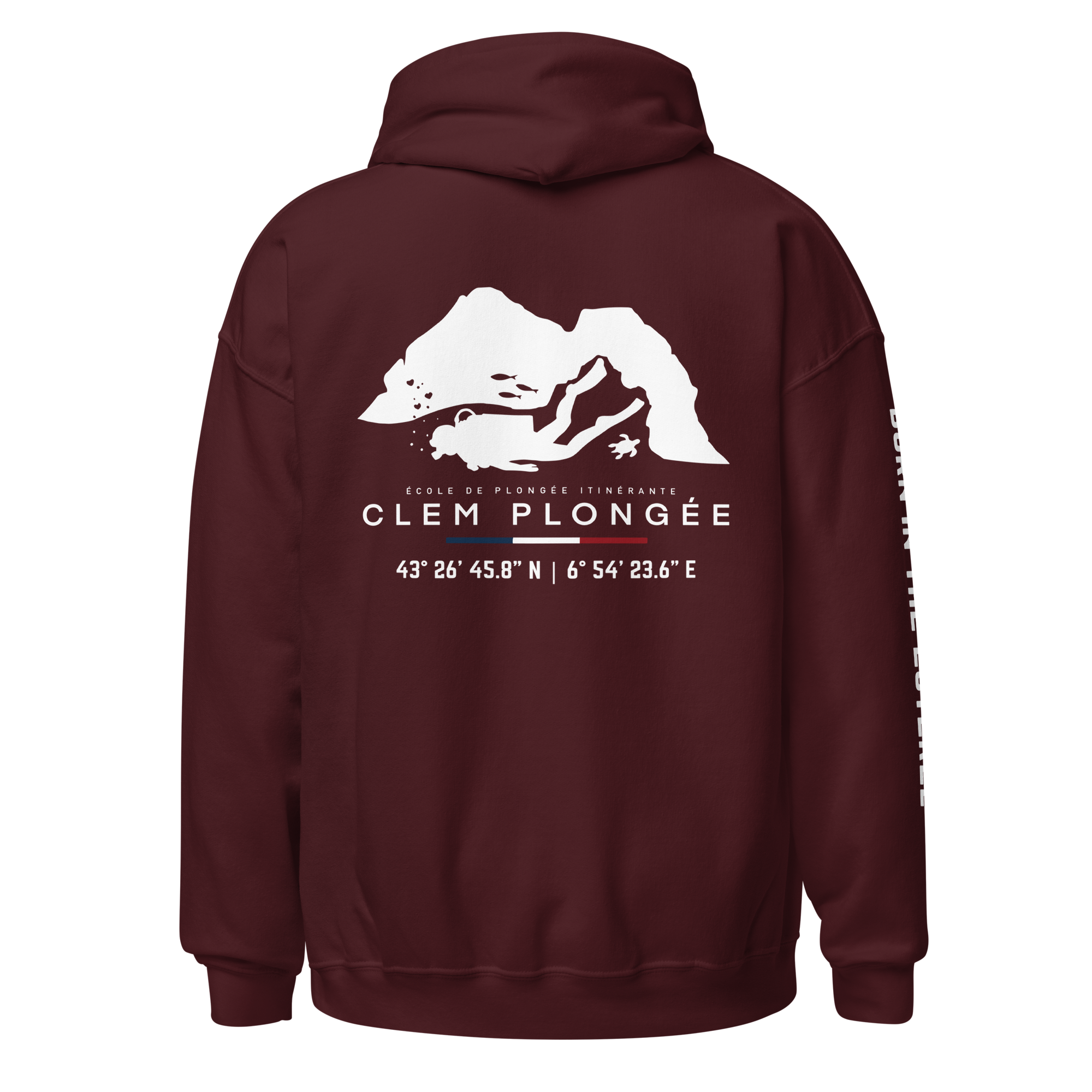 unisex-heavy-blend-hoodie-maroon-back-6a9059de78594.png