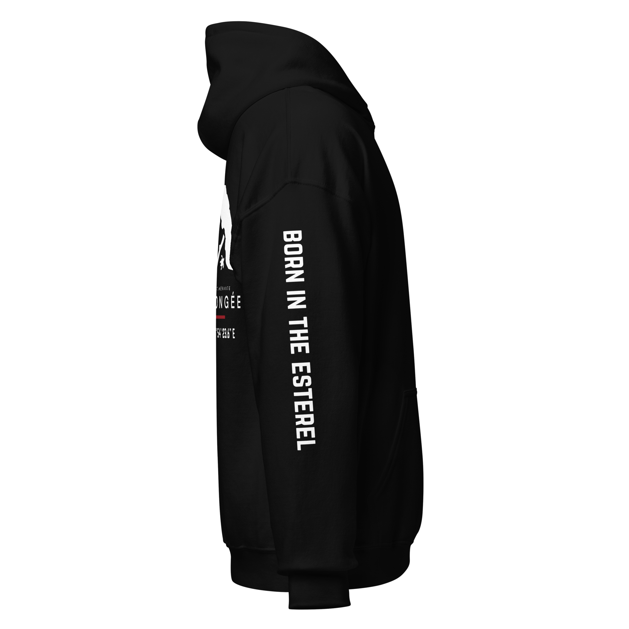 unisex-heavy-blend-hoodie-black-right-6a9059de78937.png