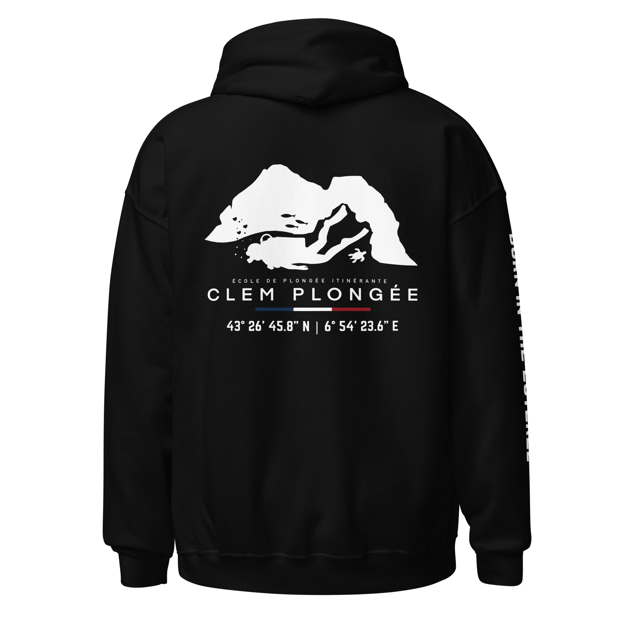 unisex-heavy-blend-hoodie-black-back-6a9059de78514.png
