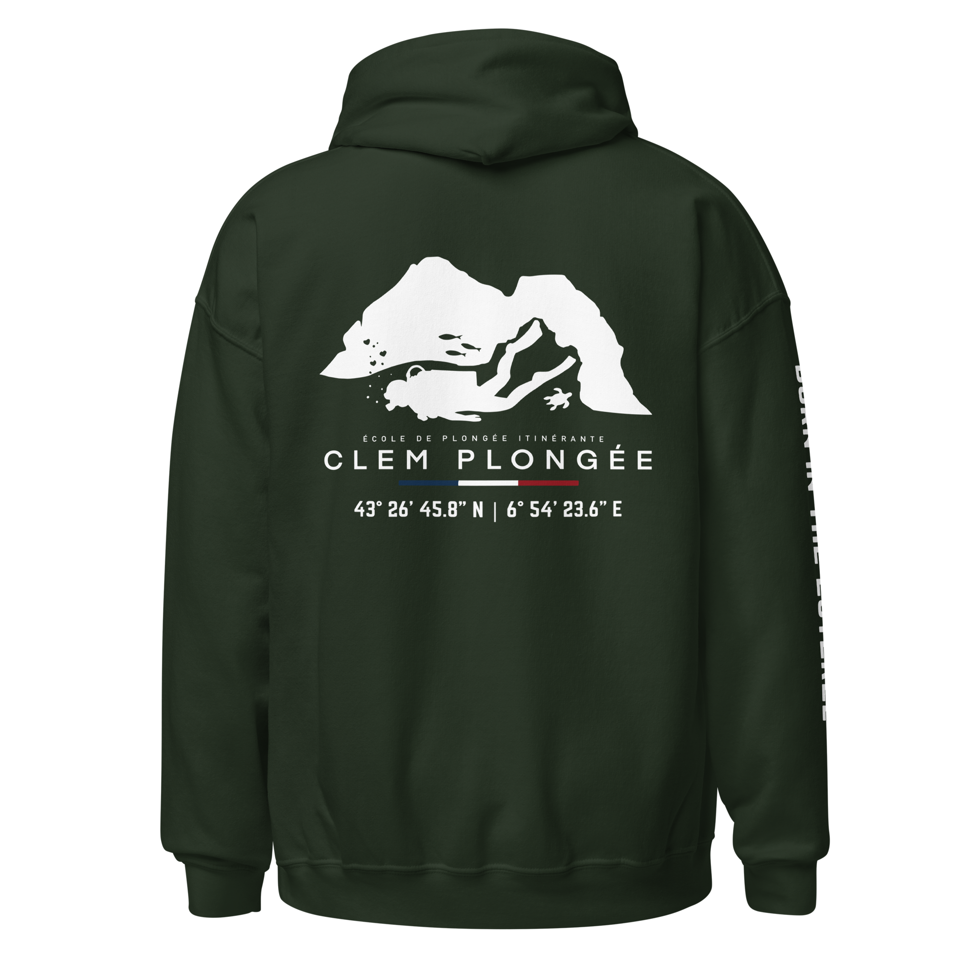 unisex-heavy-blend-hoodie-forest-green-back-6a9059de7855e.png