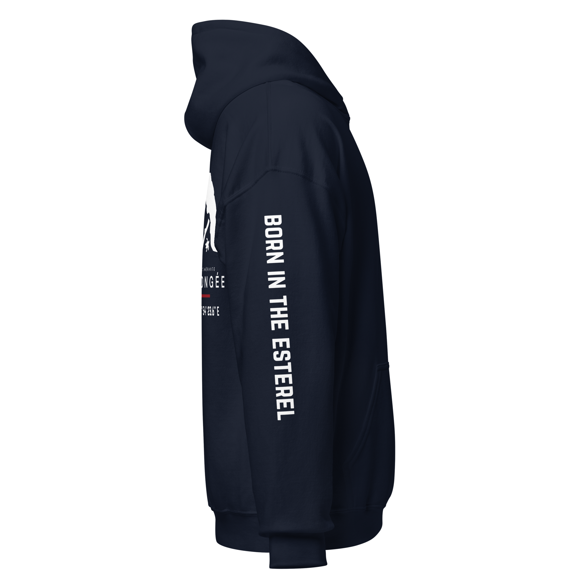 unisex-heavy-blend-hoodie-navy-right-6a9059de789f0.png