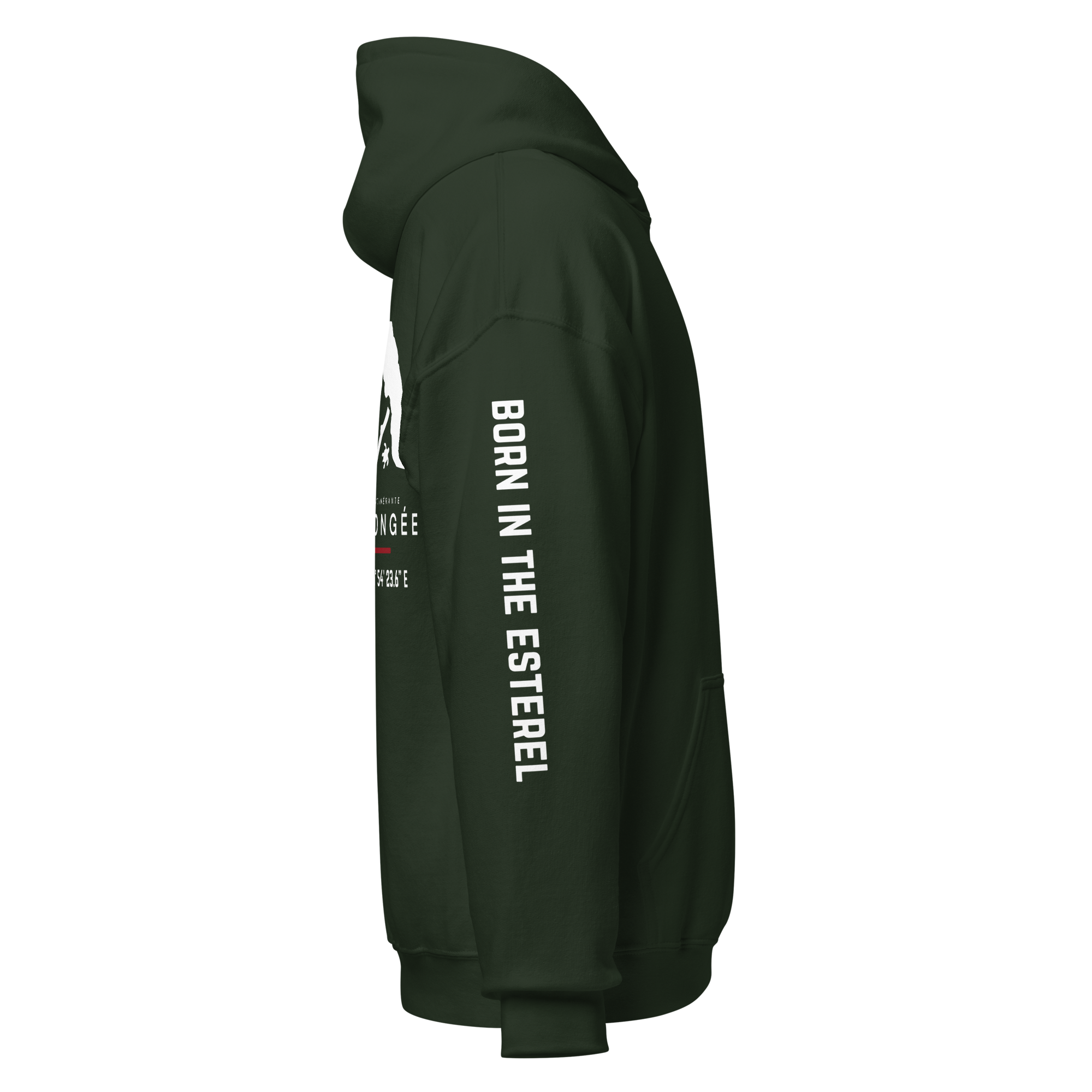 unisex-heavy-blend-hoodie-forest-green-right-6a9059de78984.png
