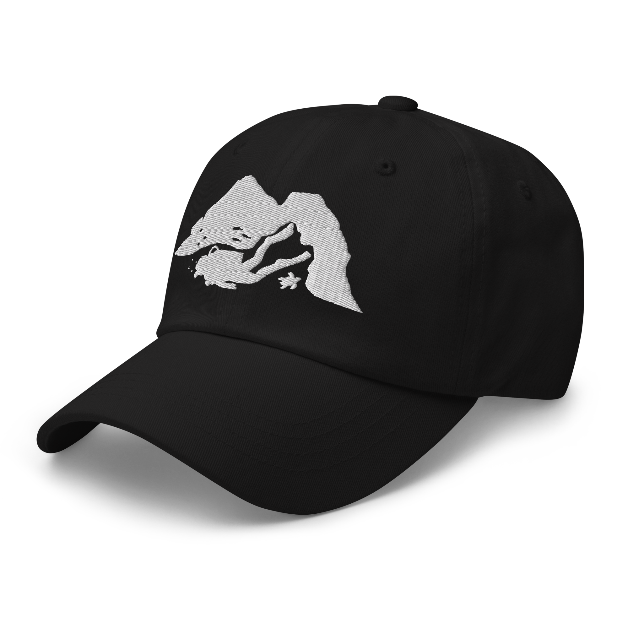 classic-dad-hat-black-left-front-6a9054411b261.png