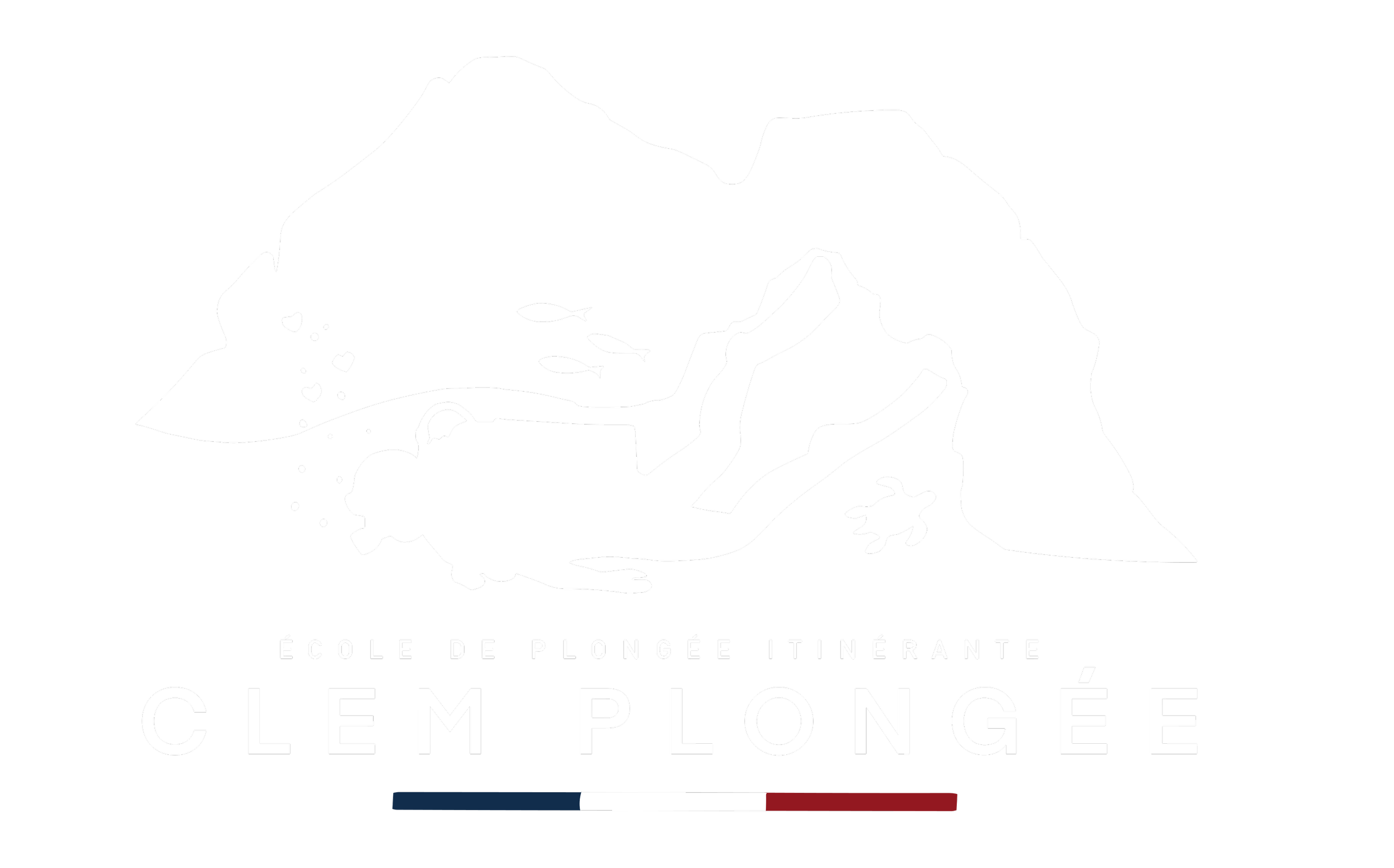Logo noir et blanc d'une école de plongée avec un lion de mer nageant sous l'eau, un fond de montagne, le nom 'Clem Plongée' et une bande tricolore française en bas.