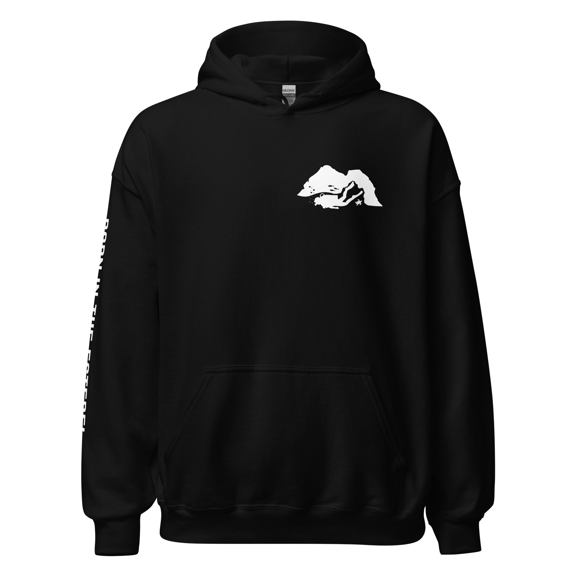 unisex-heavy-blend-hoodie-black-front-6a9059de77ff3.png