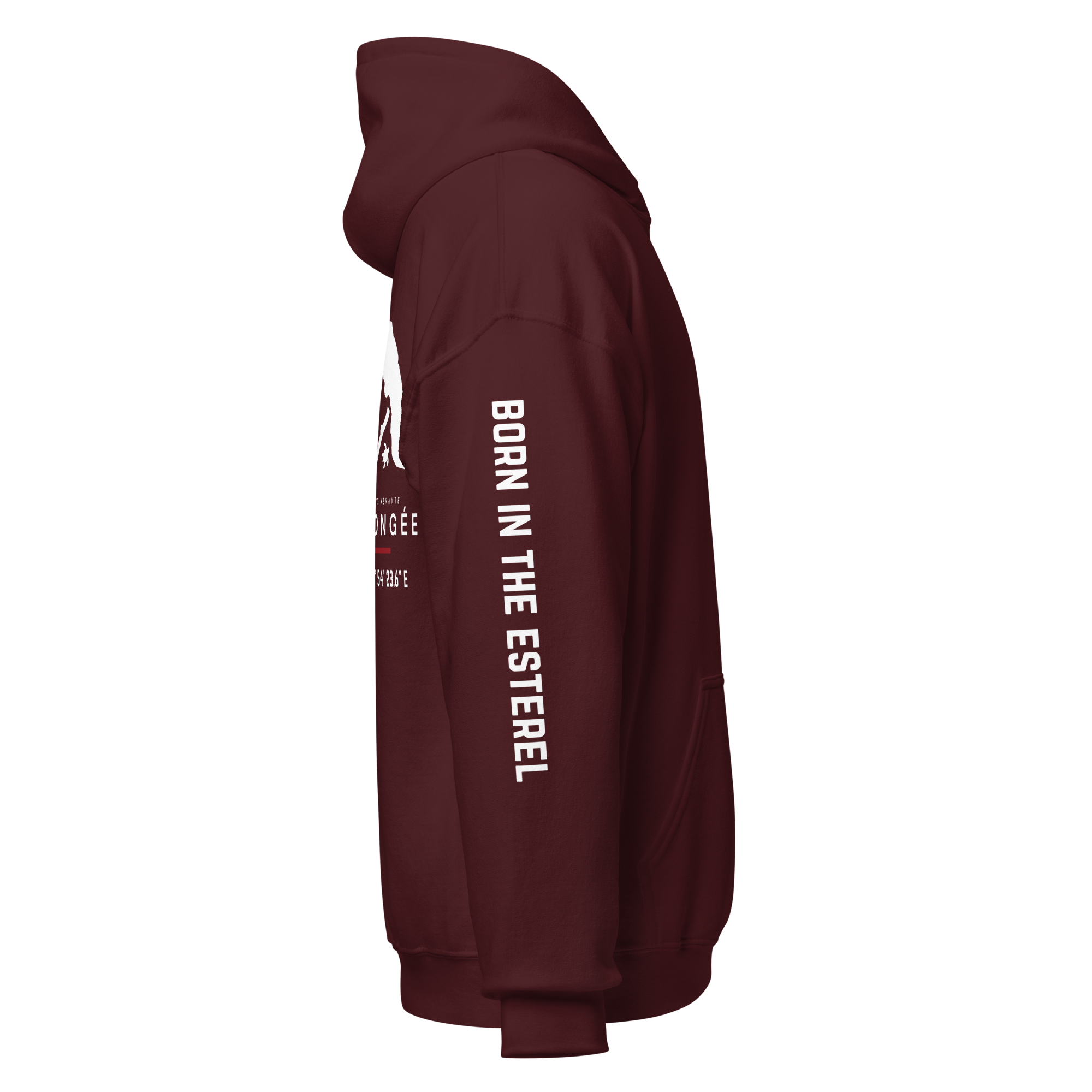 unisex-heavy-blend-hoodie-maroon-right-6a9059de789bb.png