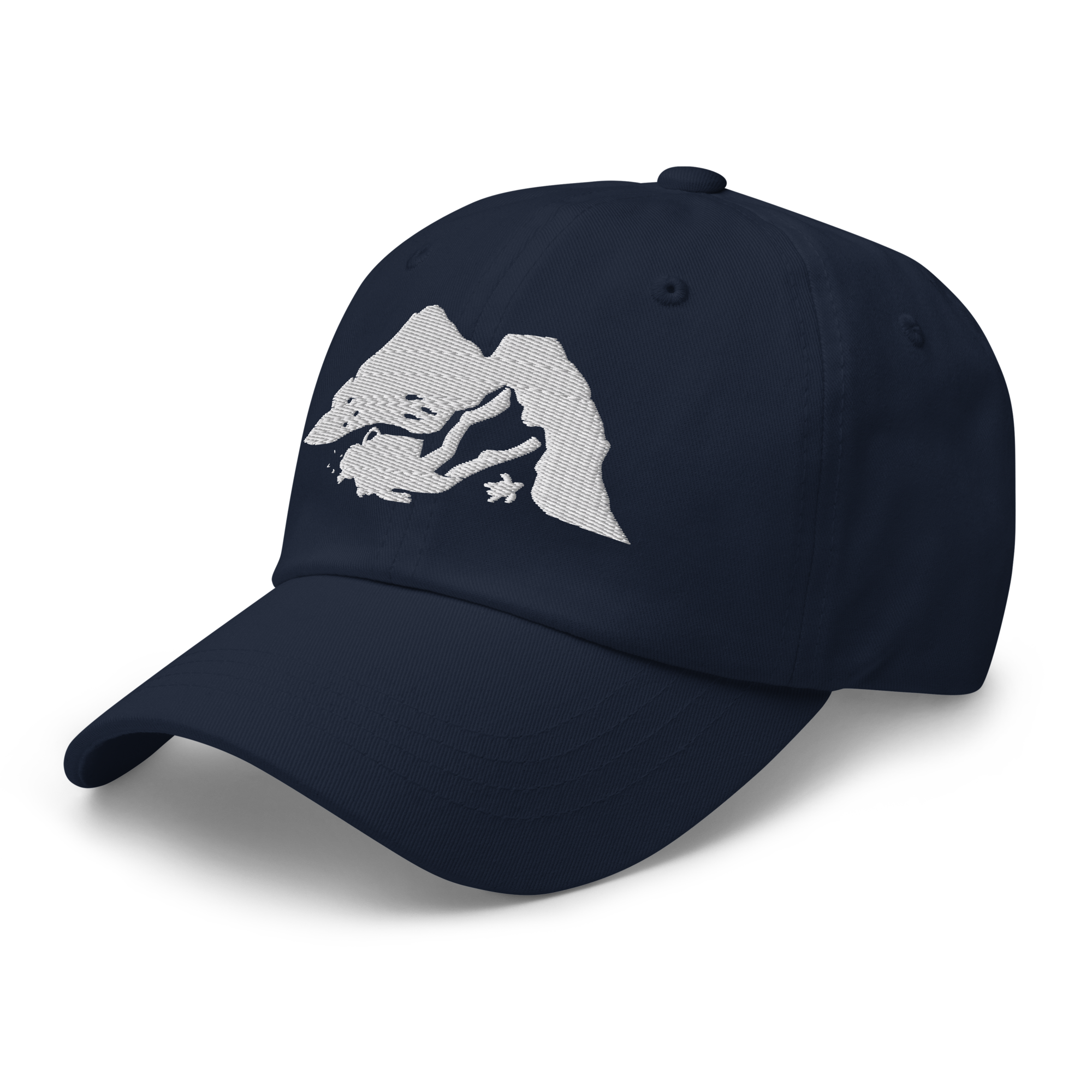 classic-dad-hat-navy-left-front-6a9054411b4ad.png