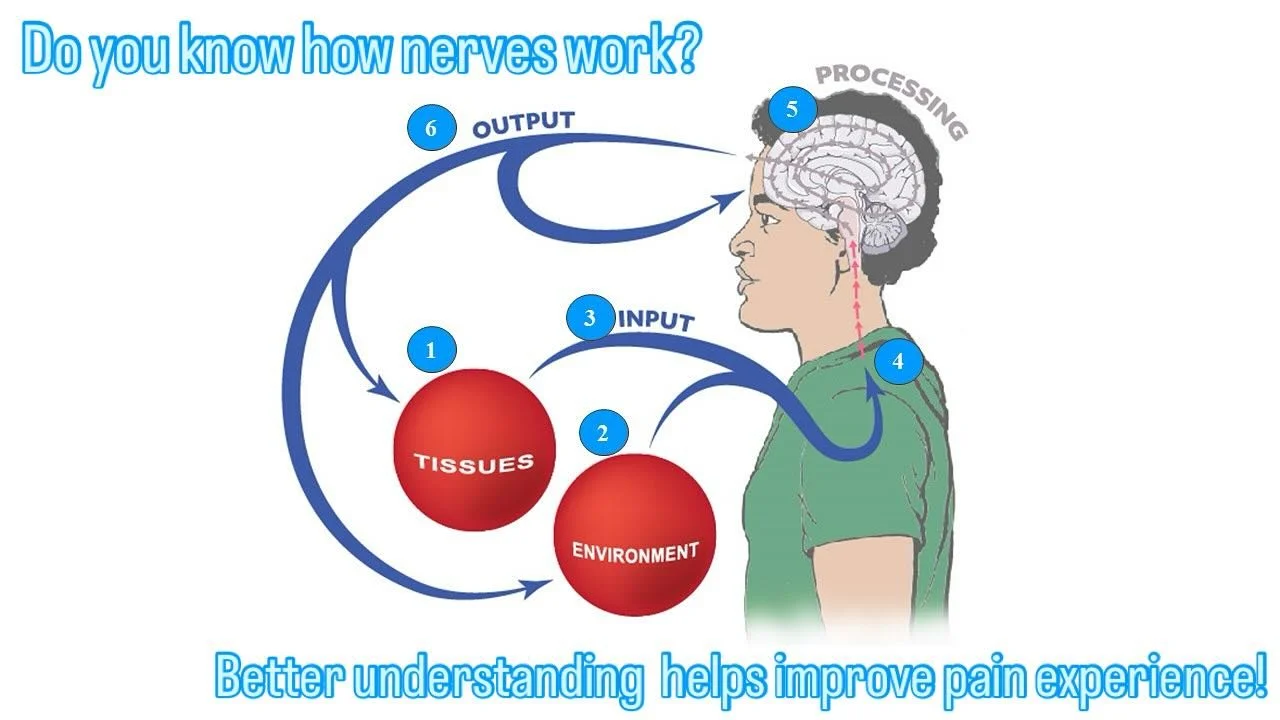π§  Pain doesn’t always mean something is “broken.”
Sometimes it’s your brain’s way of keeping you safe!
Through Therapeutic Neuroscience Education, we help you understand what pain really means — and how to take