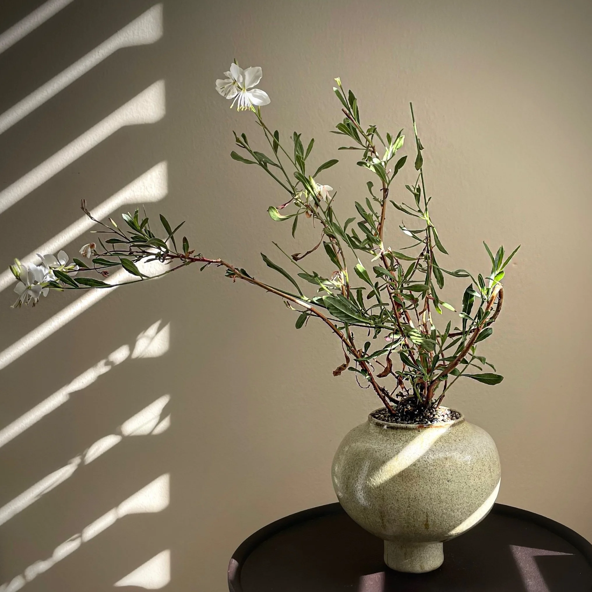 Irregular Wabi Planter