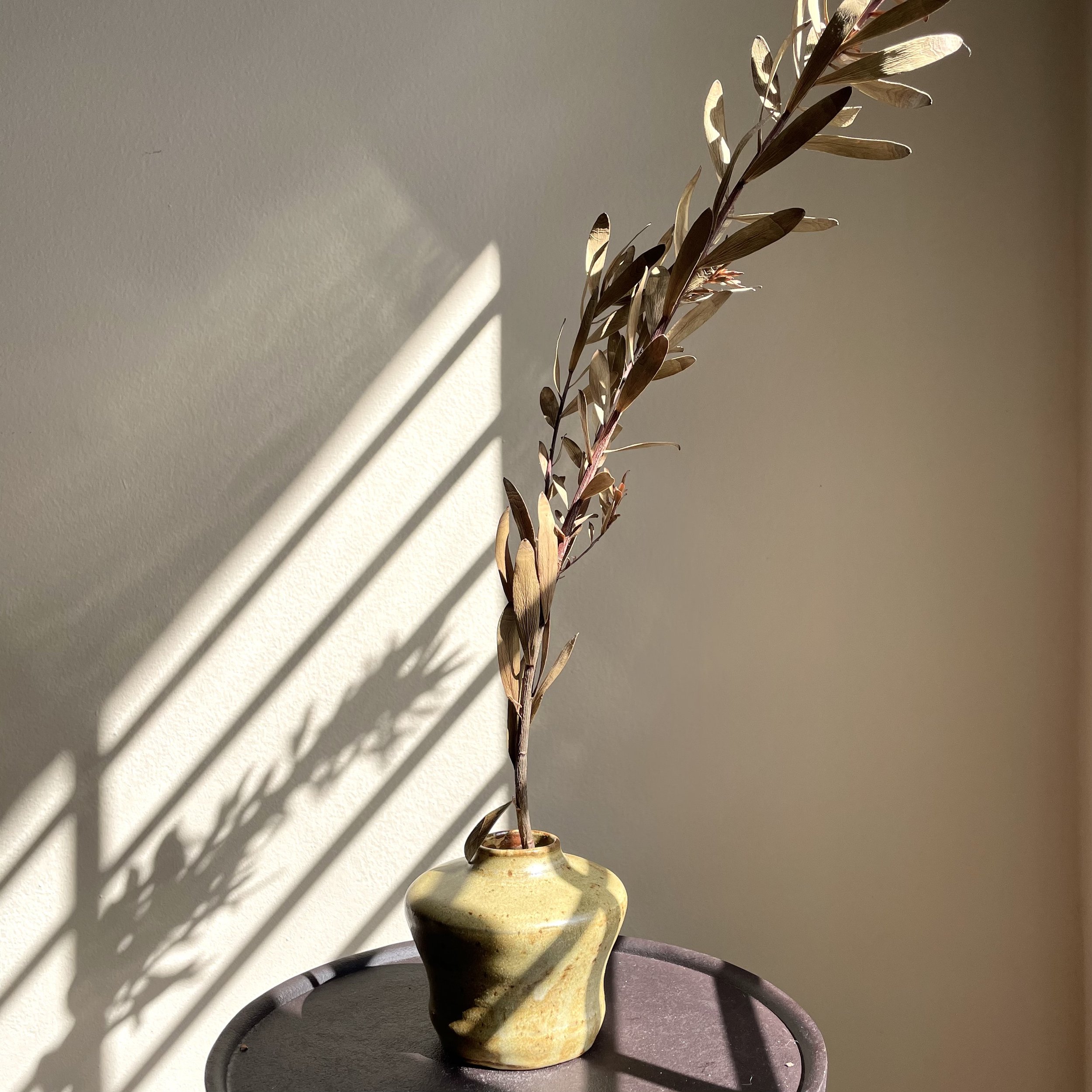 Banilla Vessel
