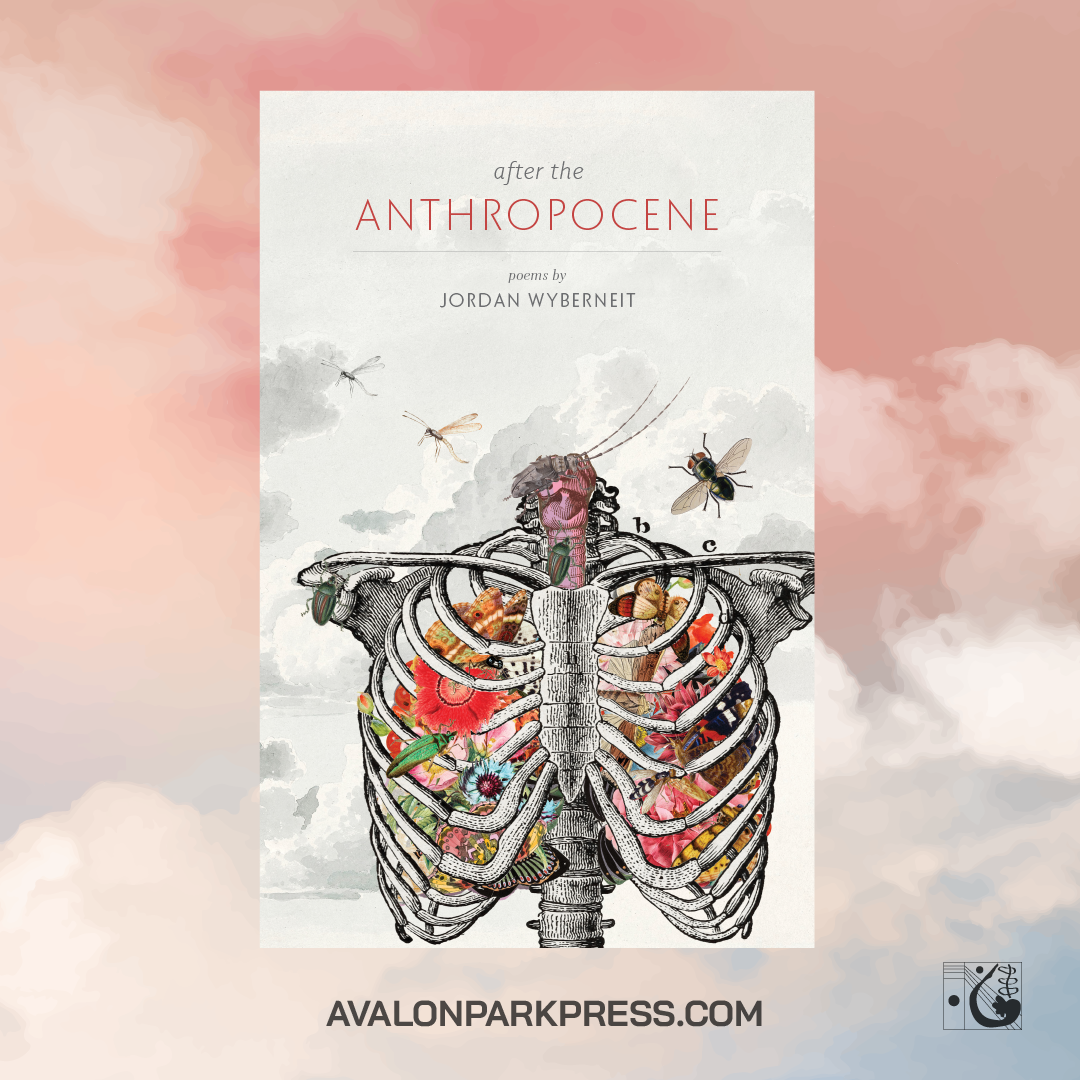 After the Anthropocene