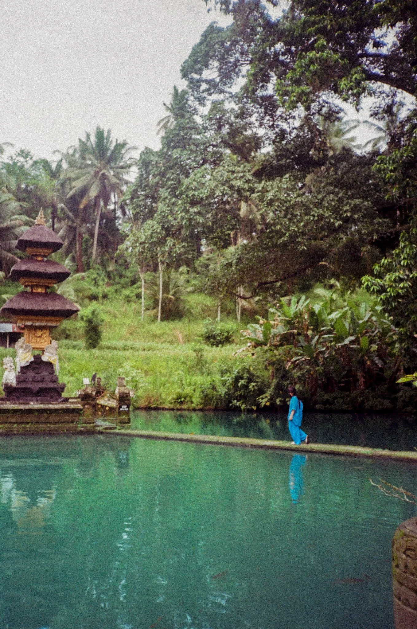 Koi fish pond and temple.jpg
