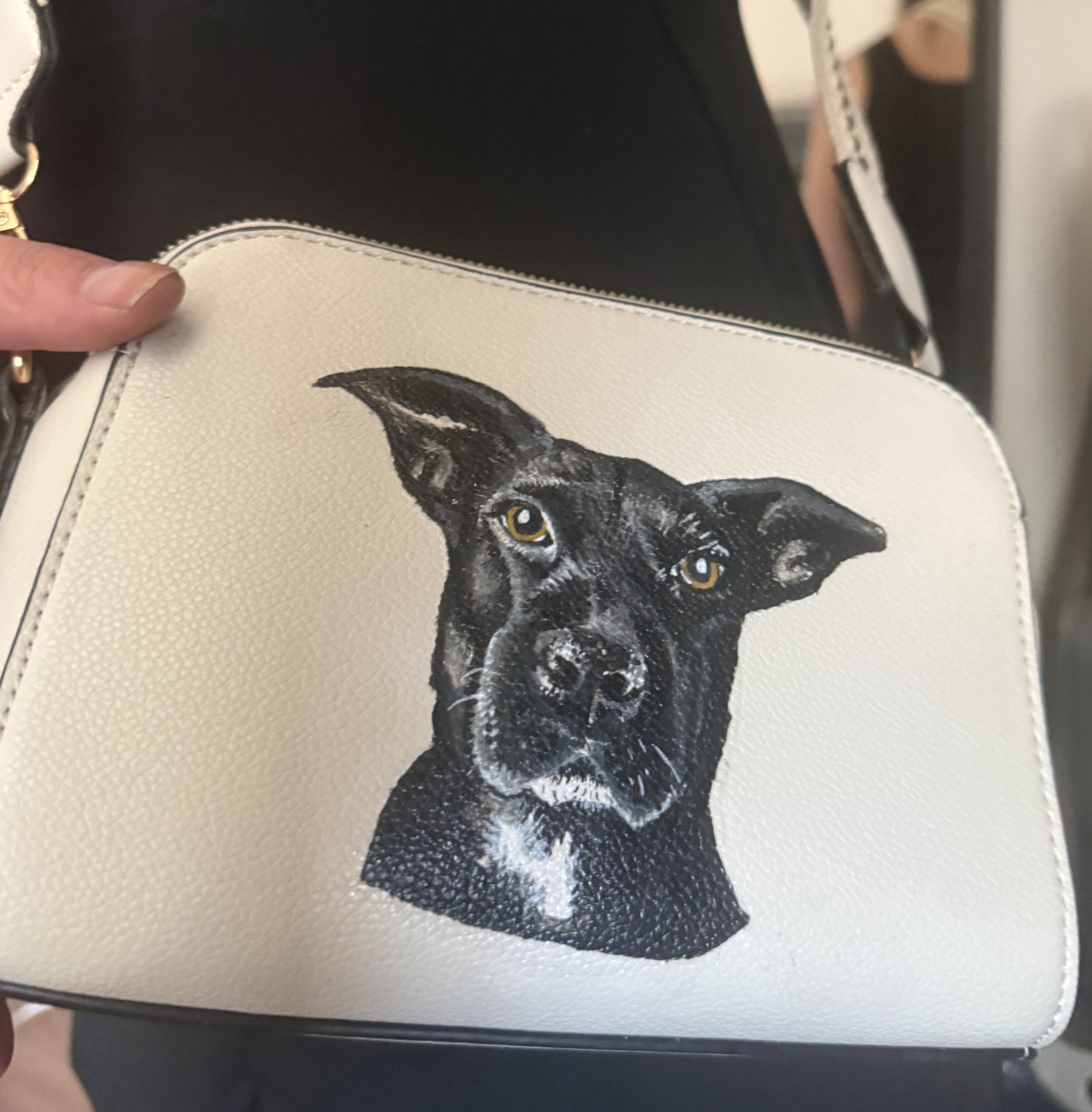 Purse Dog Portrait