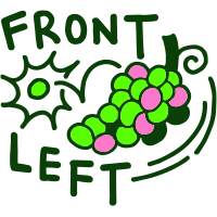 Front Left Wines