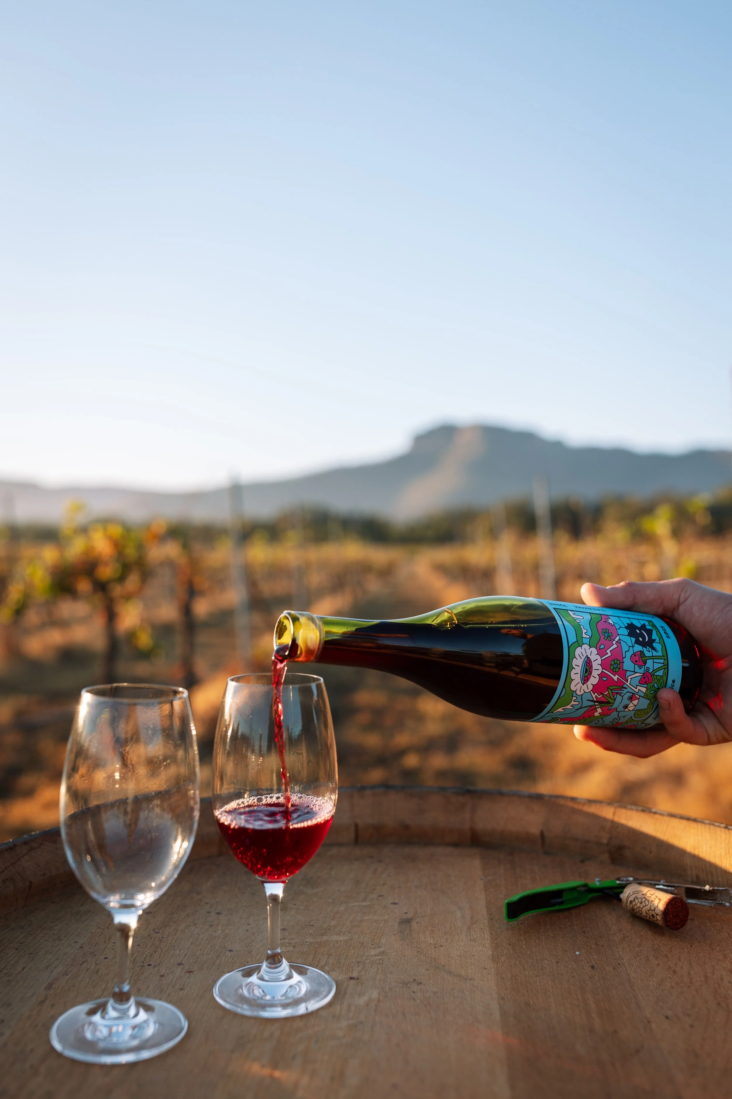 Mr Hendrix Photography - Front Left Wines Promo Shoot-29.jpg