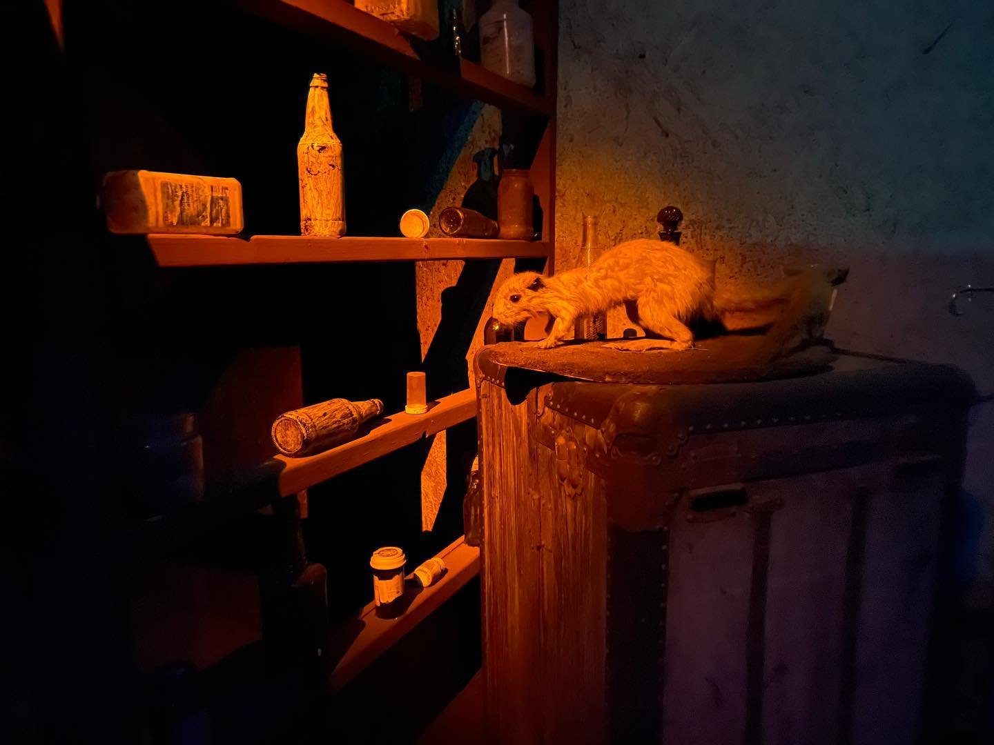 What curiosities await you in Dr. Crawfords office? Only a few short months until you get see for yourself&hellip;