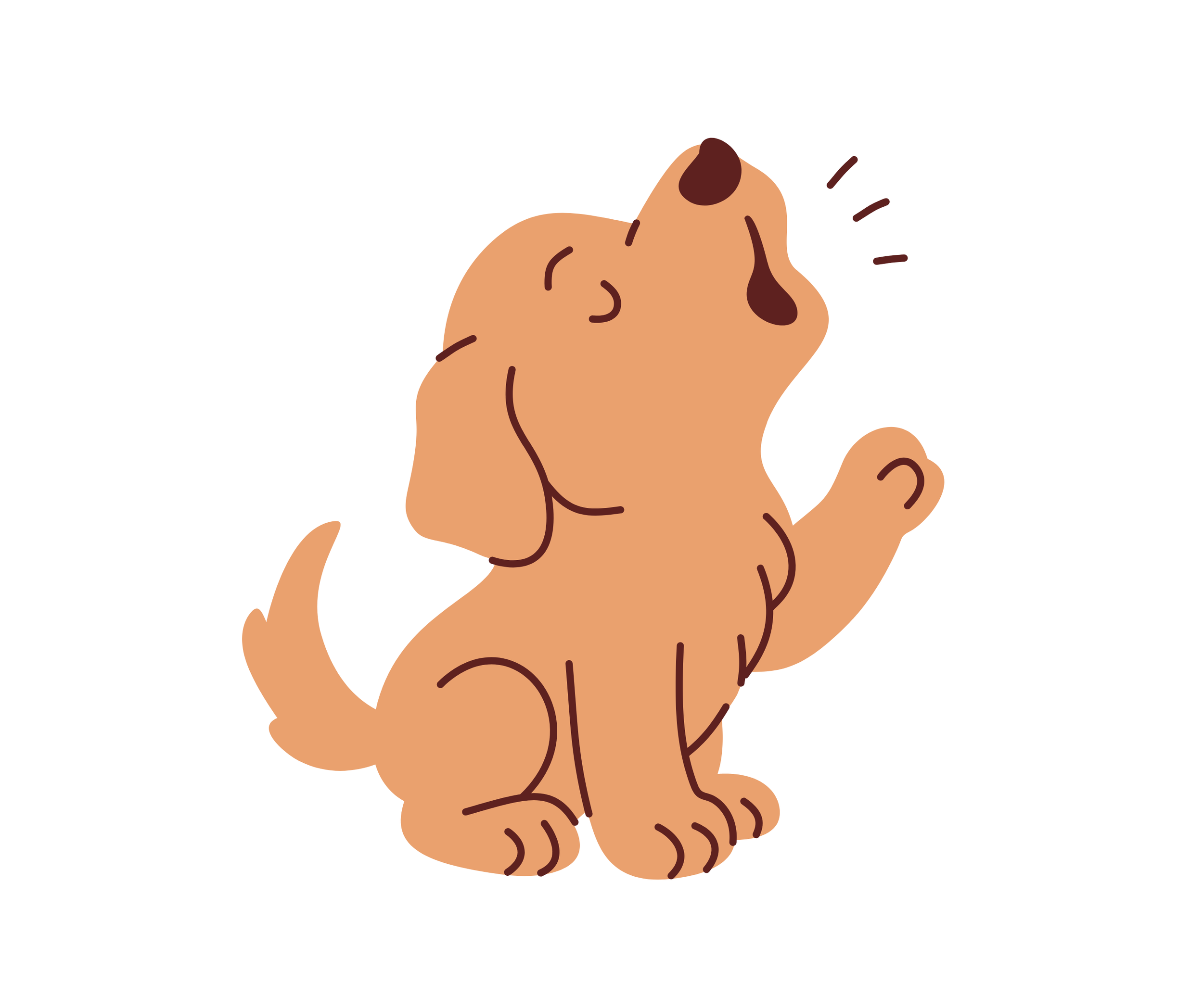 puppy and dog manner classes by professional dog trainers in Winston-Salem, north carolina