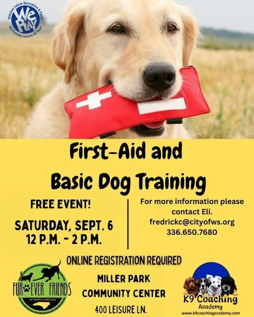 Pet First Aid and Dog Training for Safety