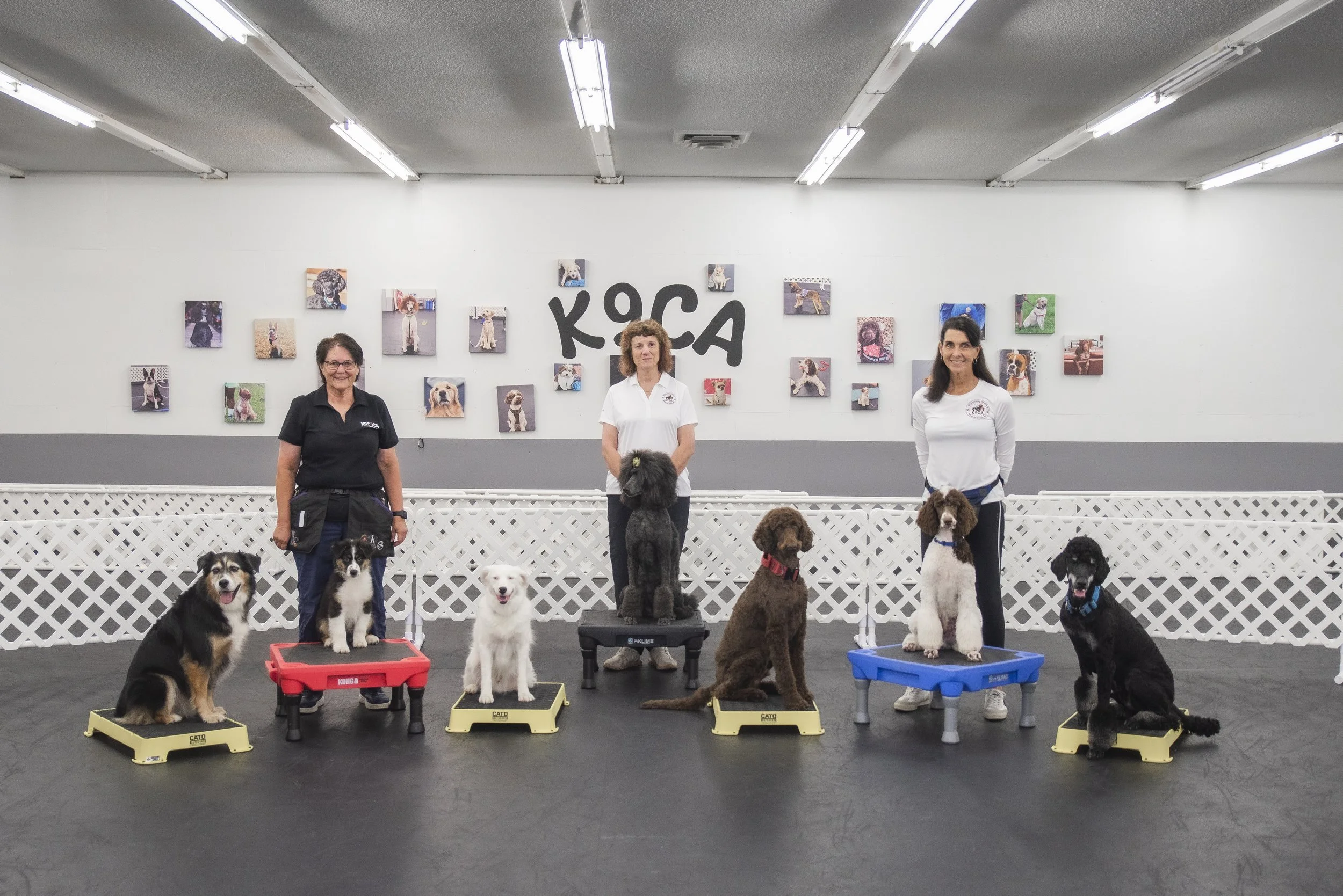 K9 Coaching Academy