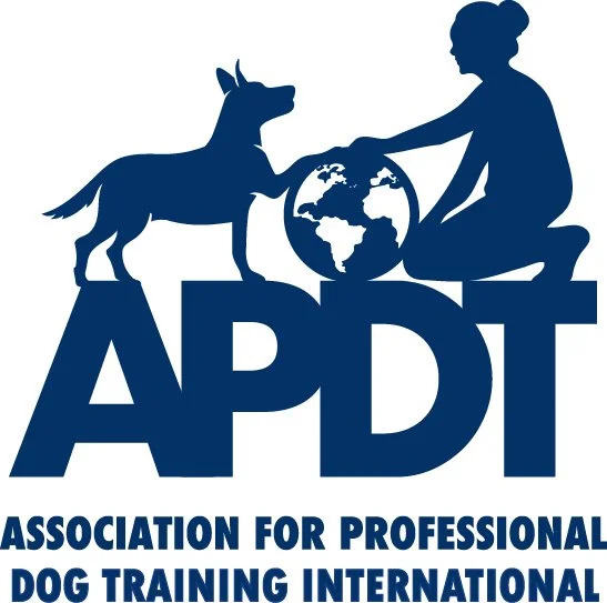 K9 Coaching Academy